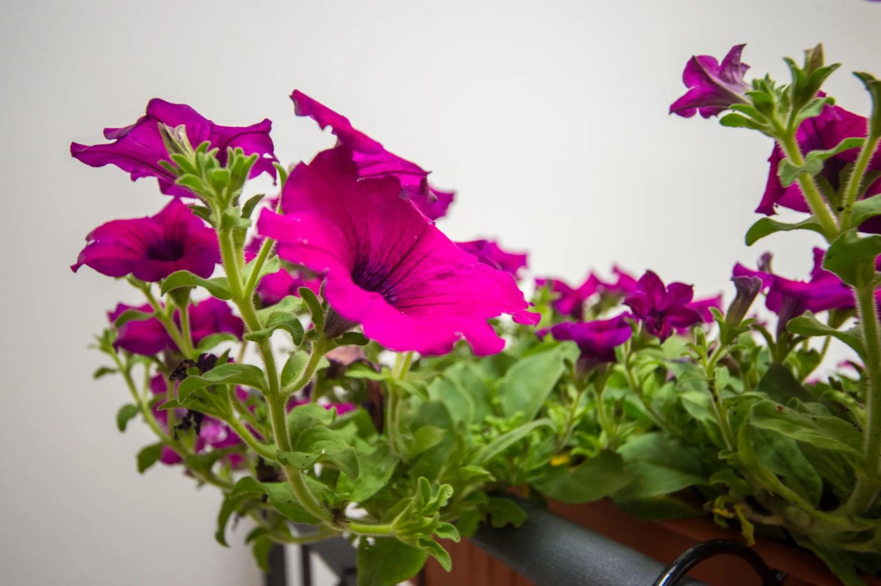 'A Cumerdia - Casa Vacanze