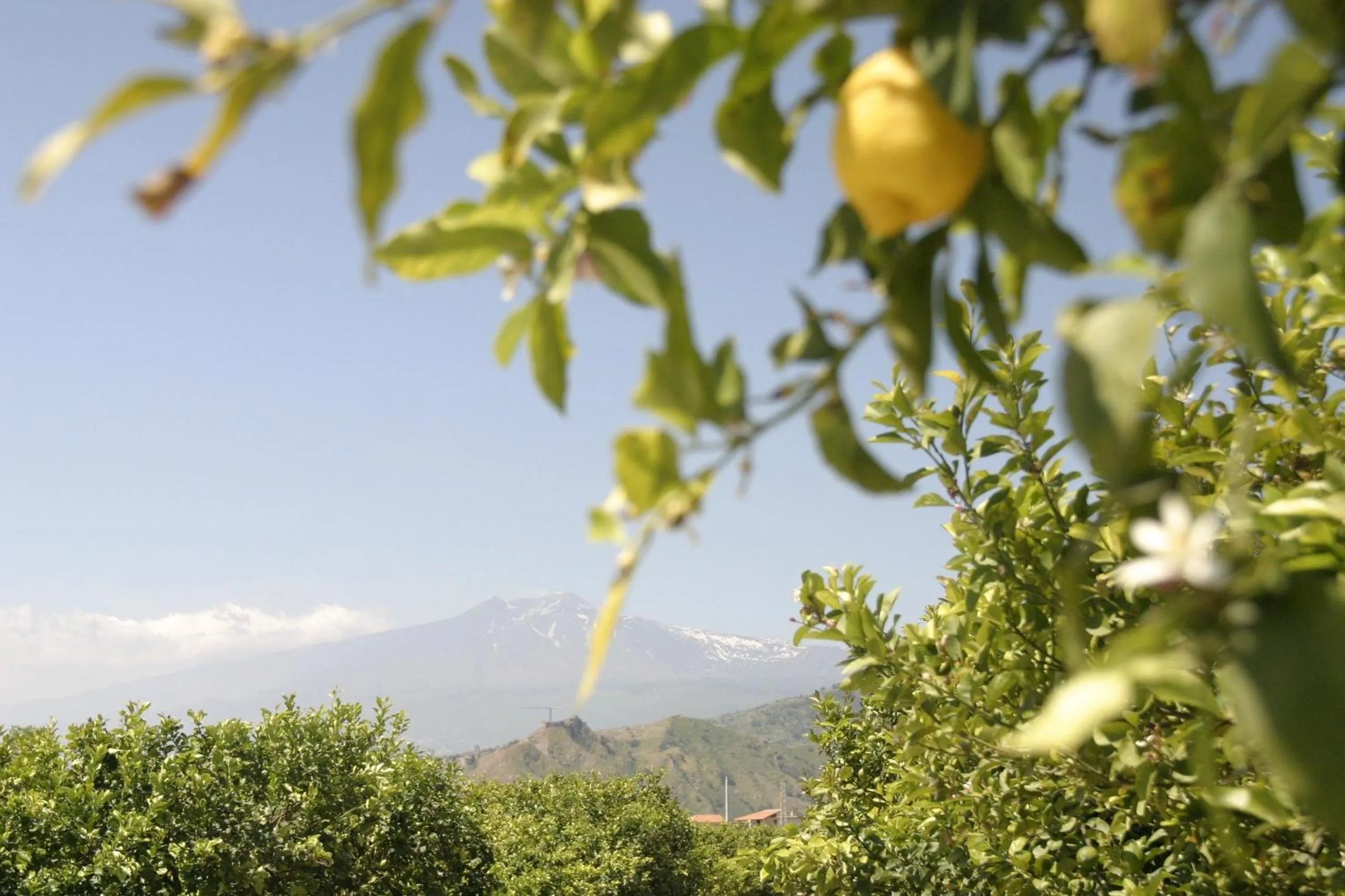 Mountain view in B&B Sole