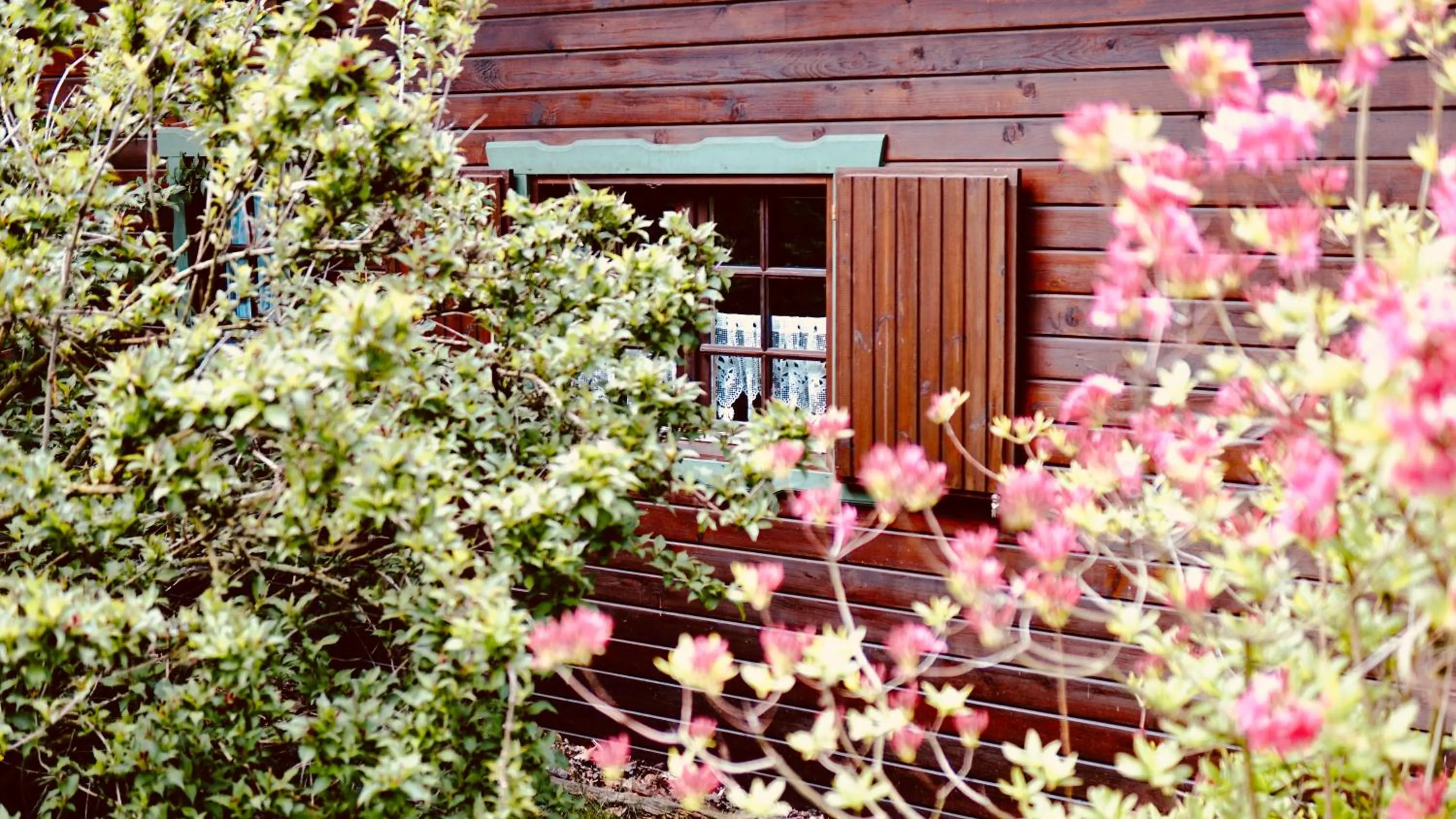 Facade/entrance in Forsthaus Luchsenburg