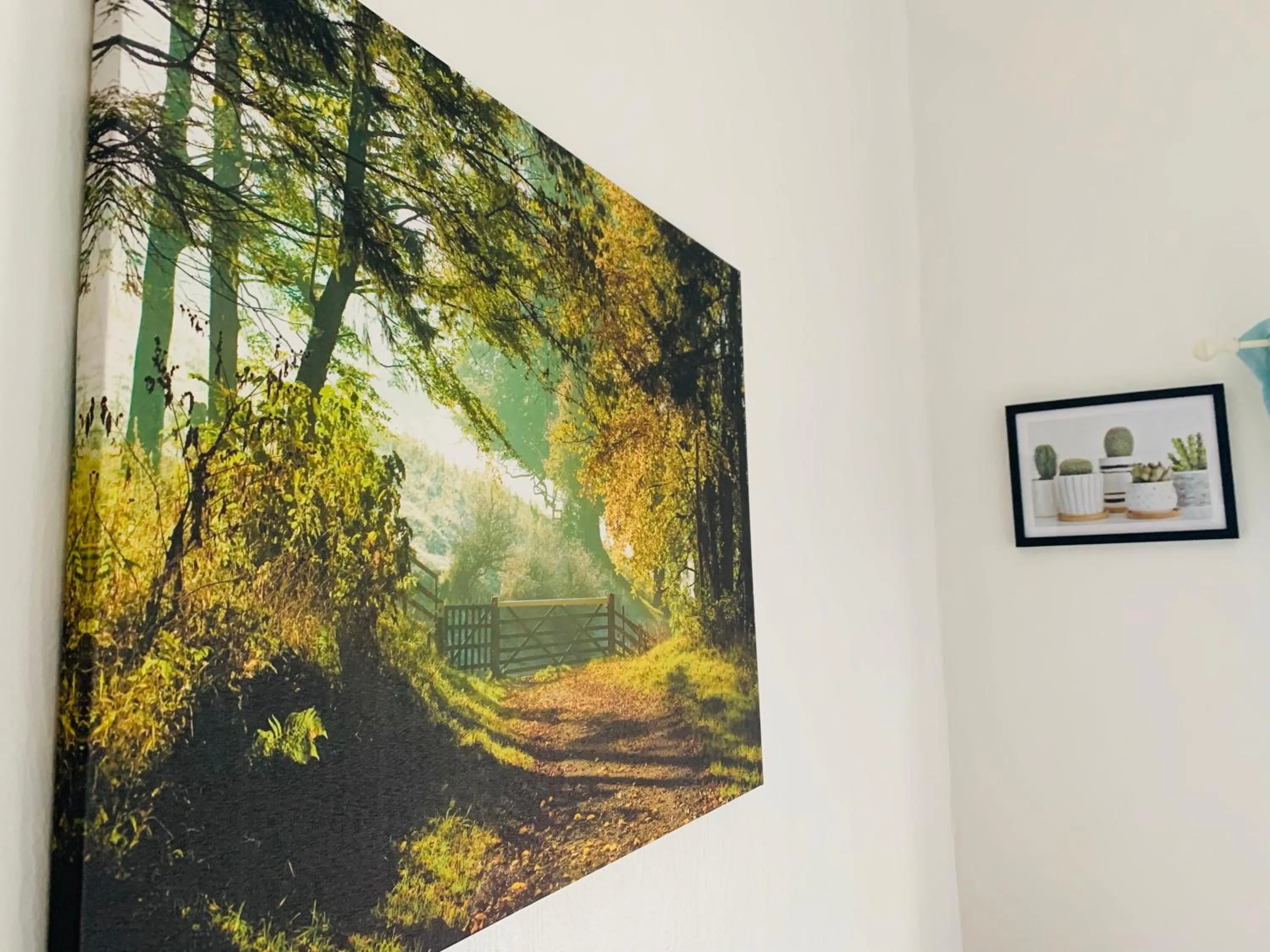 Natural landscape in Four Oaks Hotel