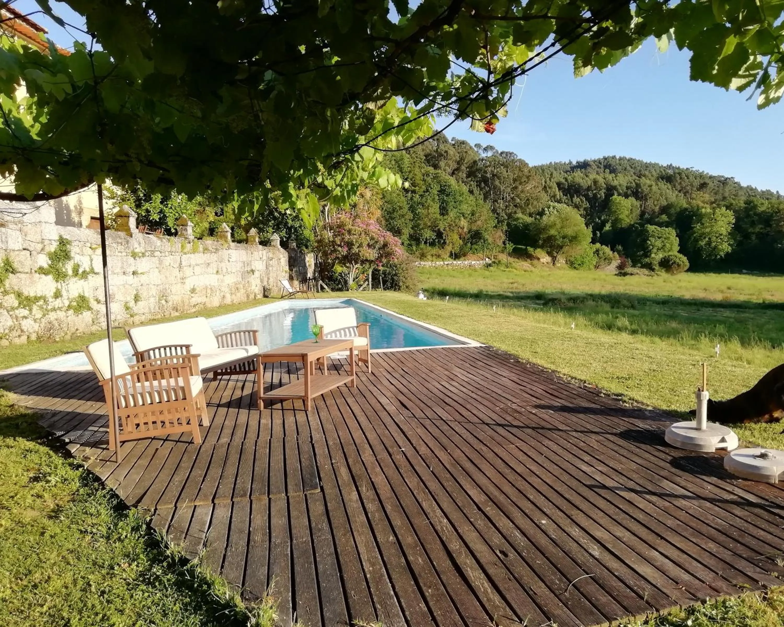 Pool view in Paço de S.Cipriano
