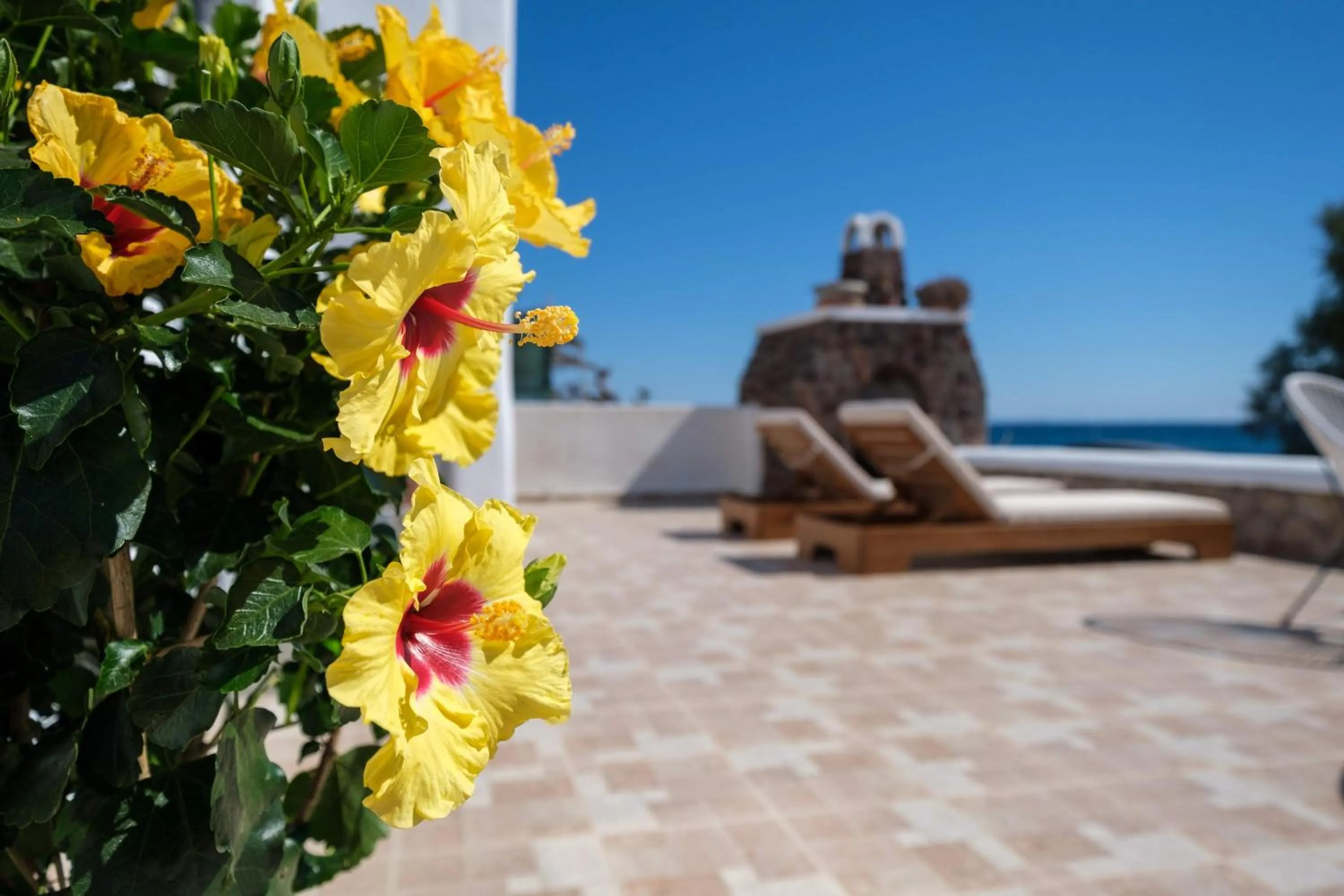 Balcony/Terrace in Beach Houses Santorini