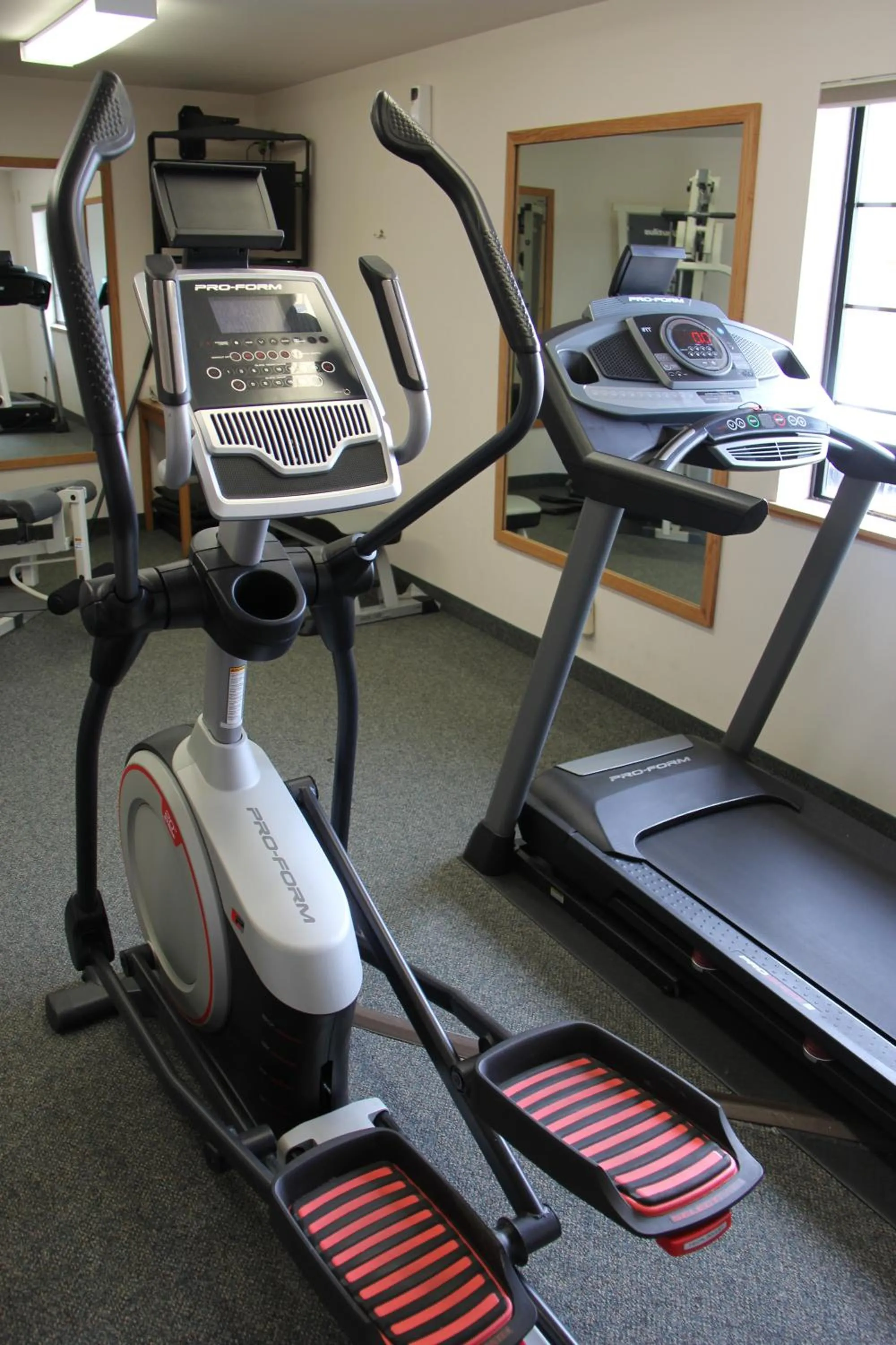 Fitness centre/facilities in Homestead Inn and Suites