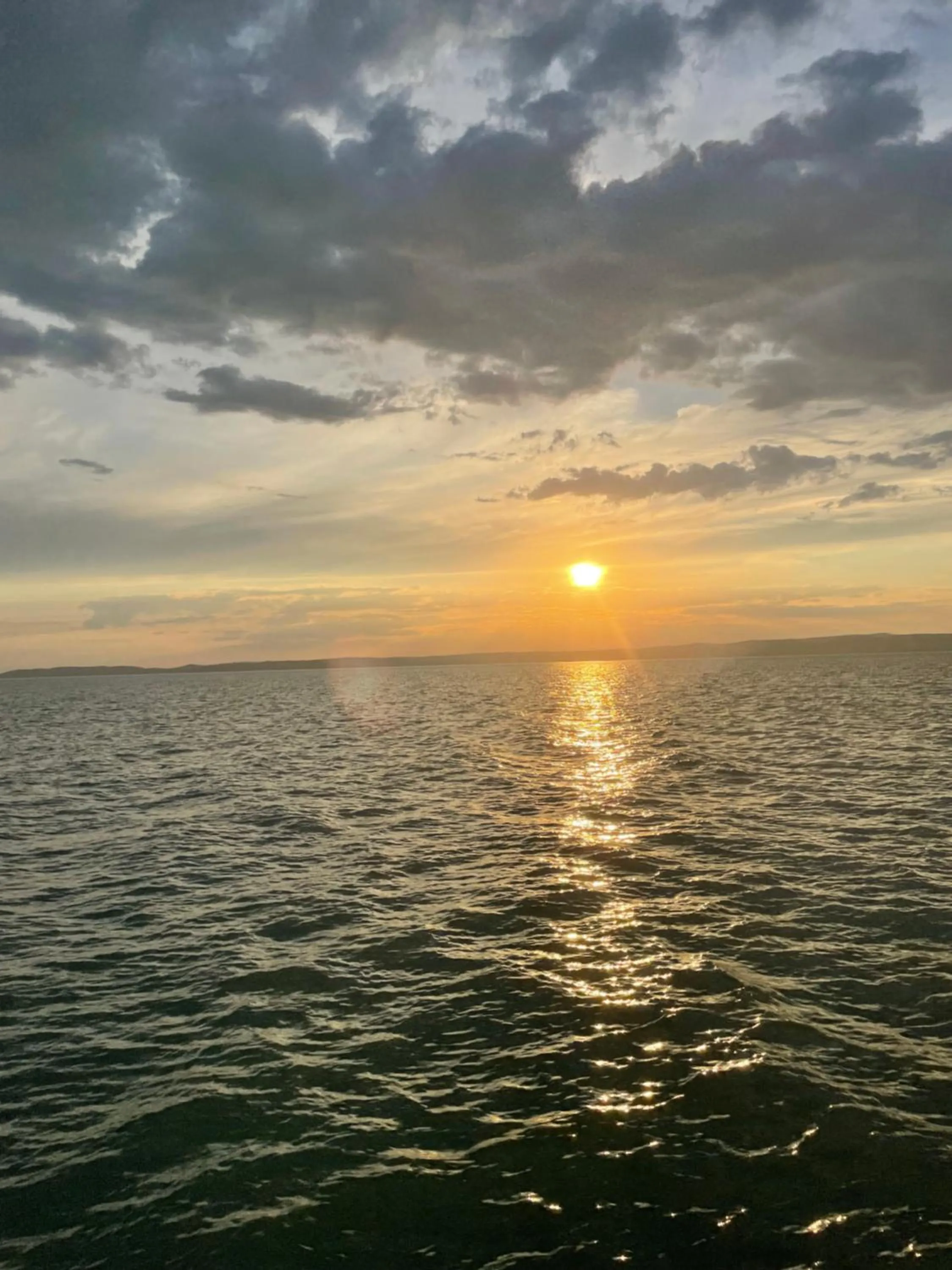 Neighbourhood in Wellness Dorina