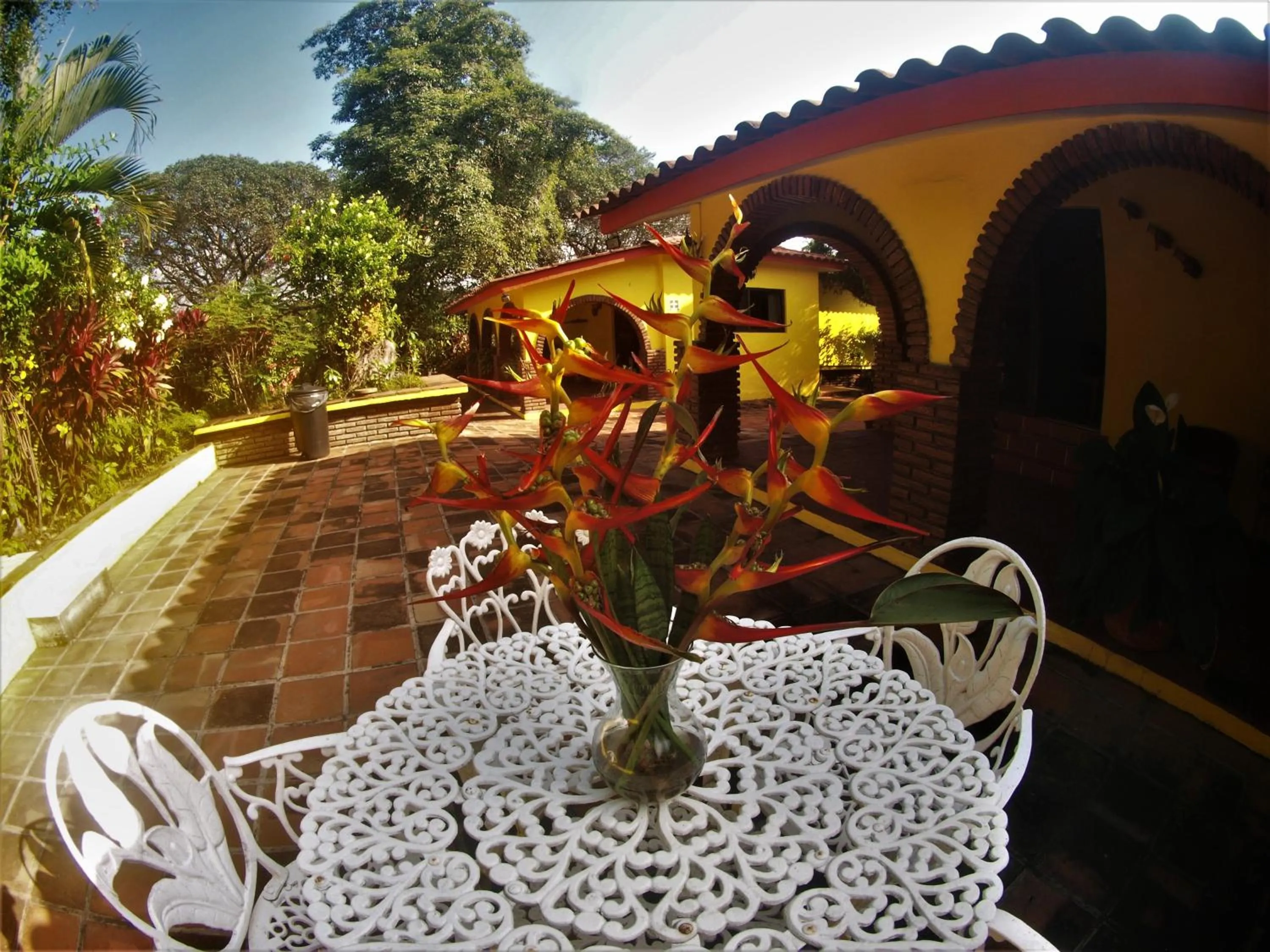 Garden view in Quinta Comala Hotel & Villas