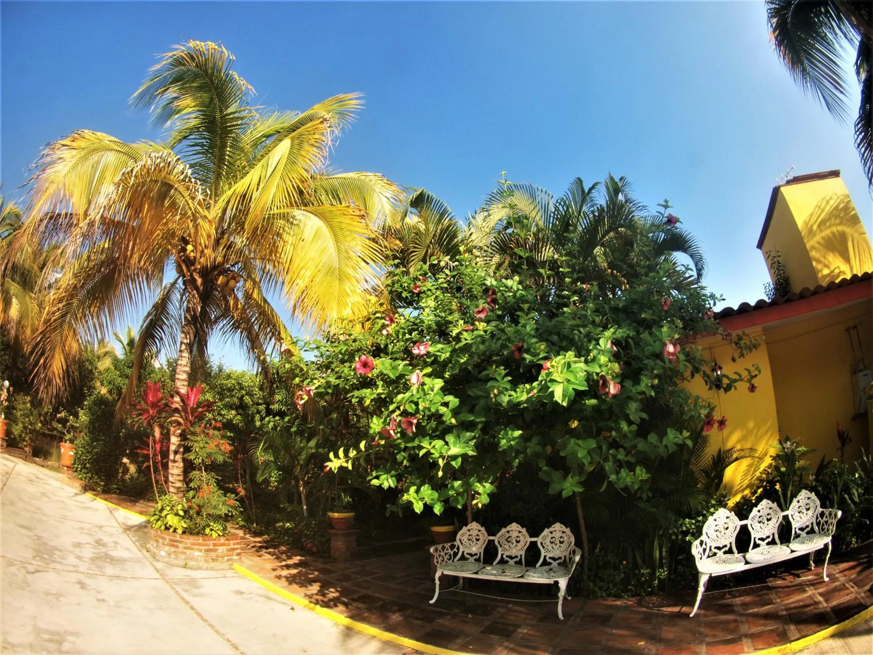 Garden view in Quinta Comala Hotel & Villas