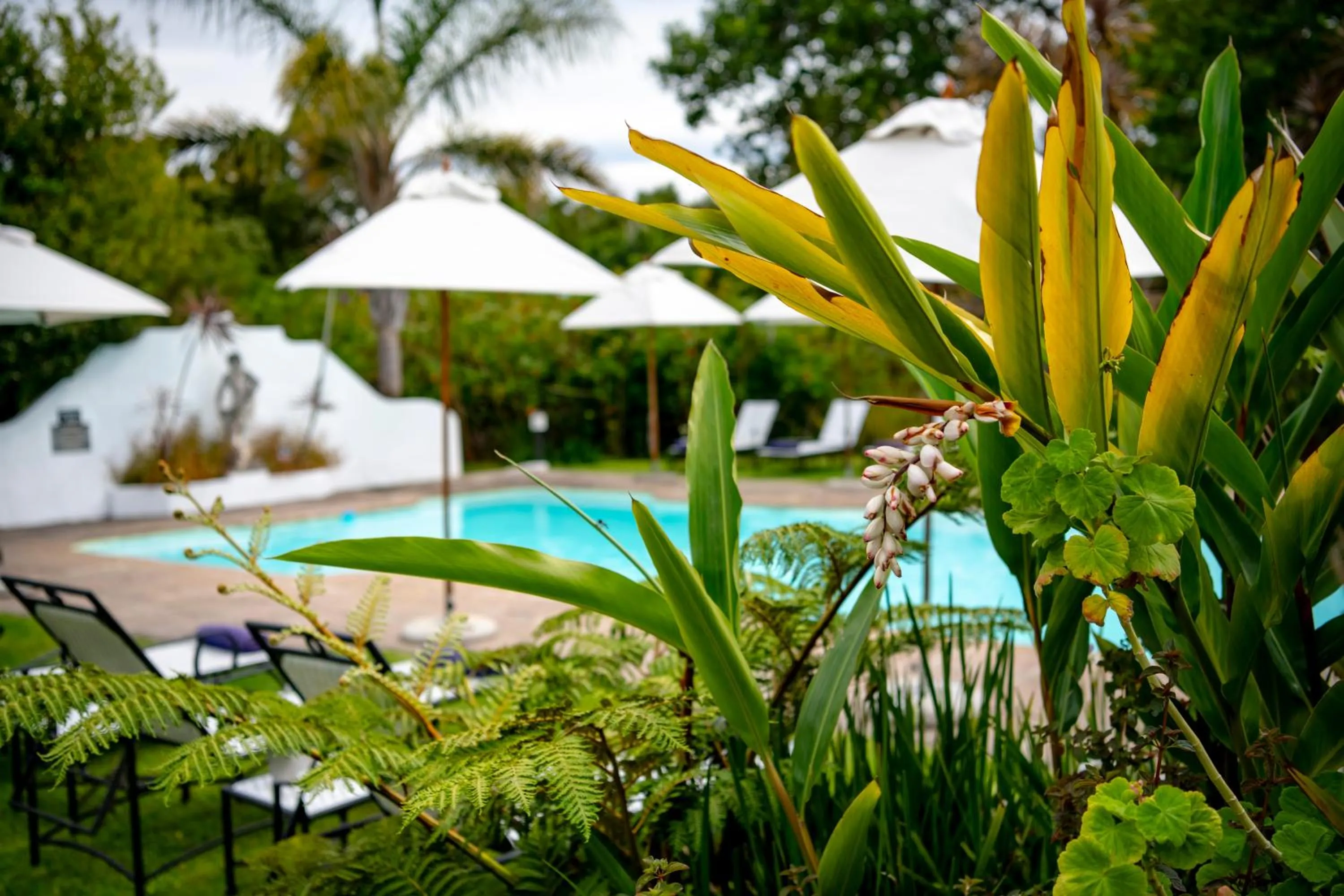 Day in Hunter's Country House