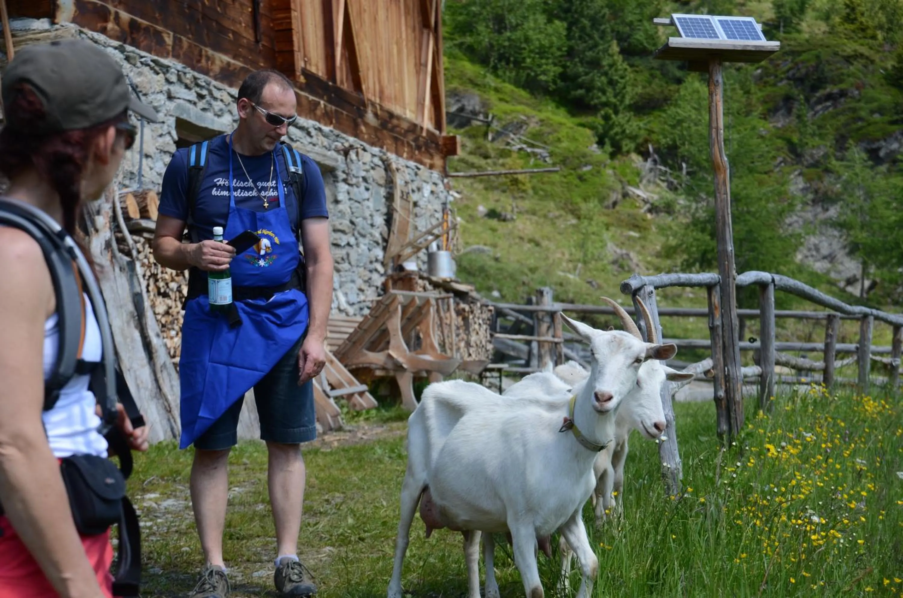 Animals in Hotel Bacher