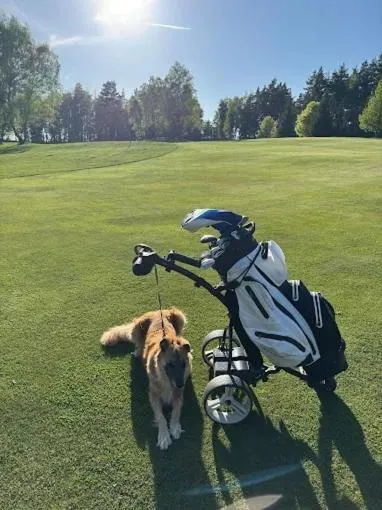 Golfcourse in Monti Spa