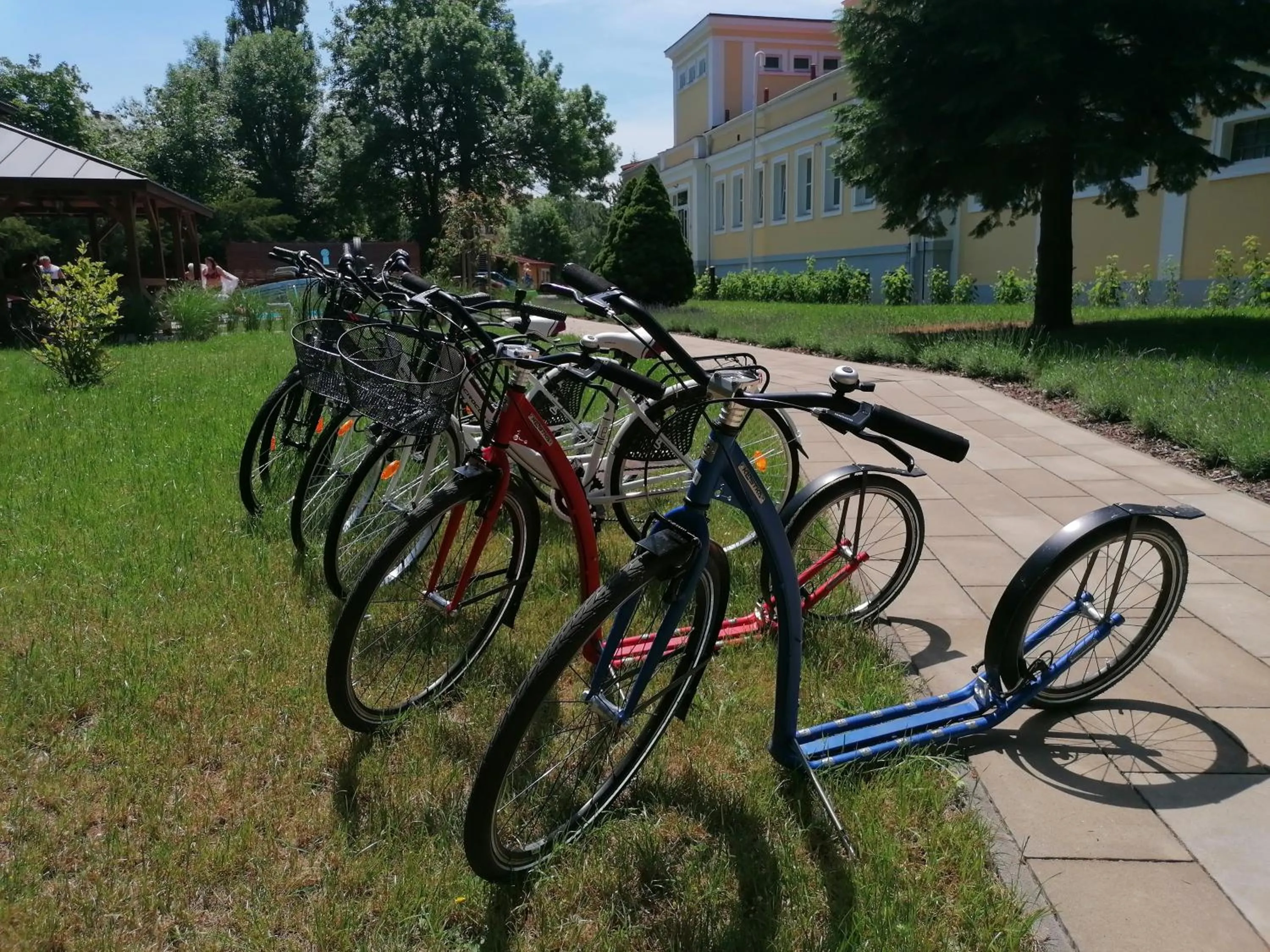 Activities in Monti Spa