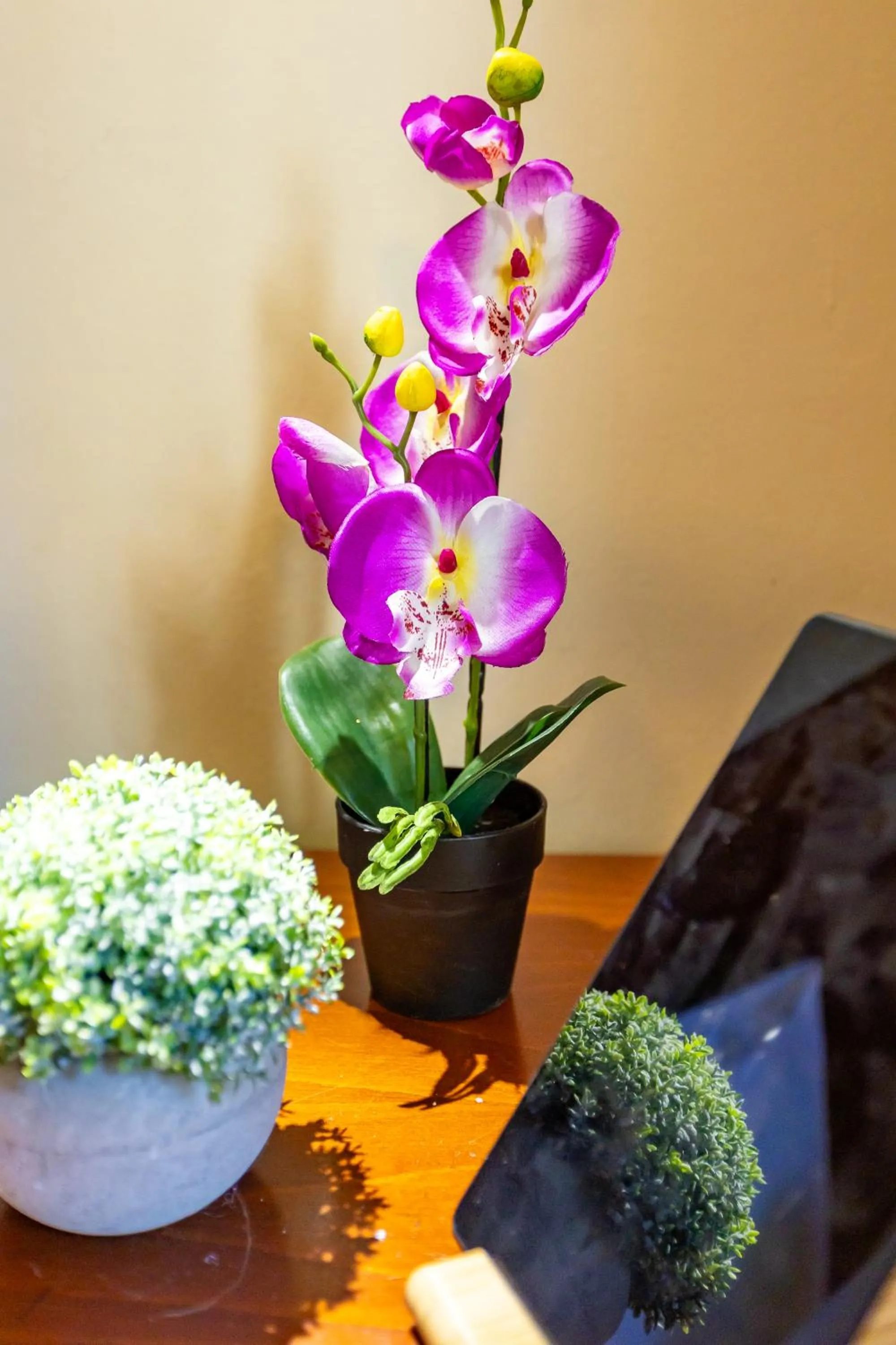 Property building in Hotel Marina