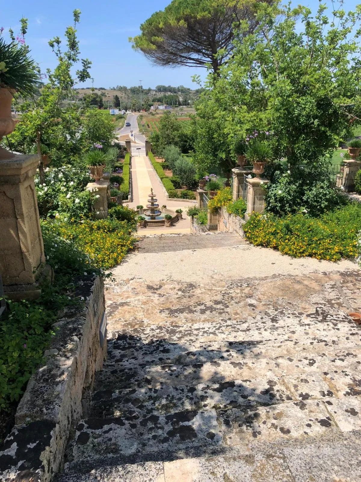 Bird's eye view in ViverE' Resort