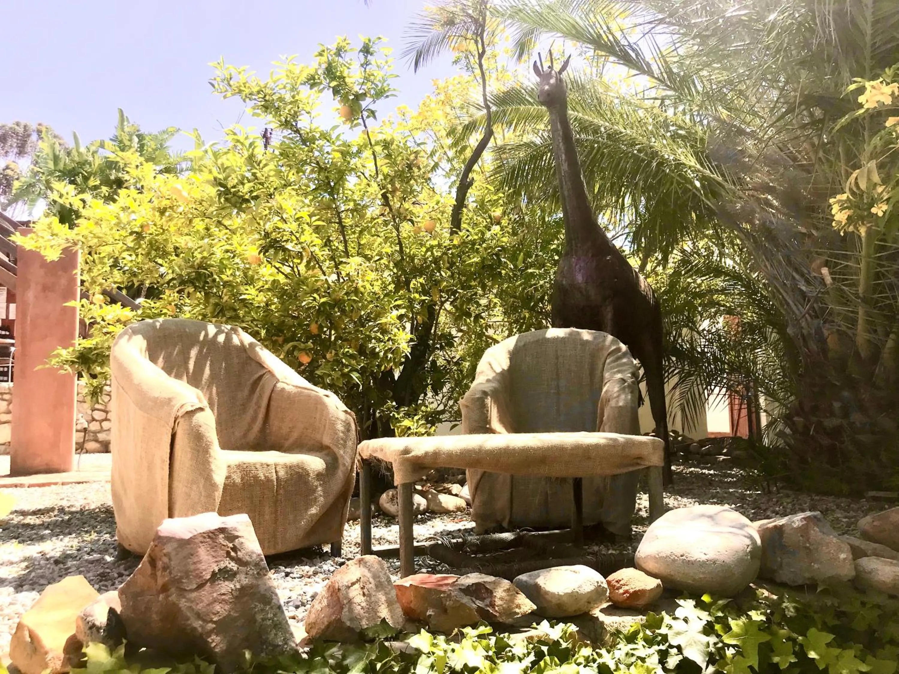 Garden in Mountain View Eco Lodge Montagu