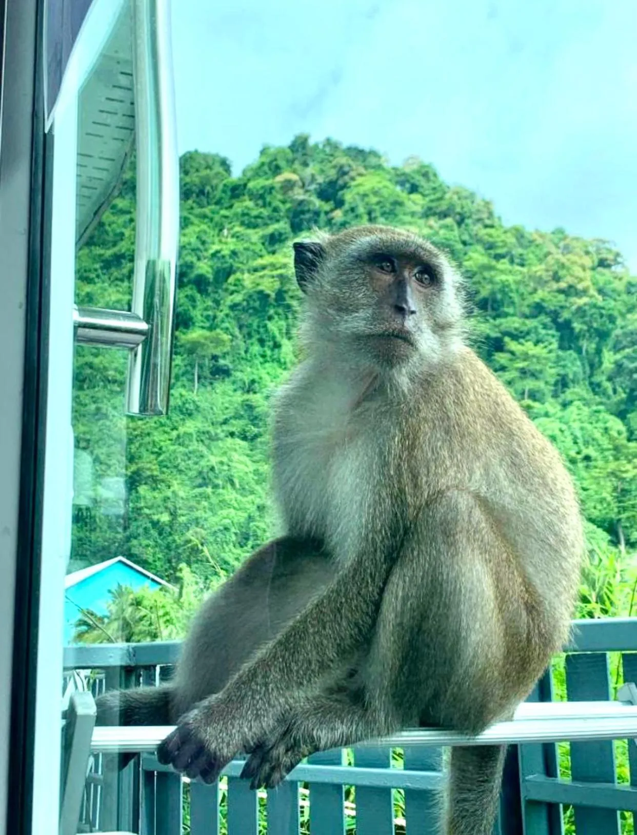 Phi Phi Maiyada Resort