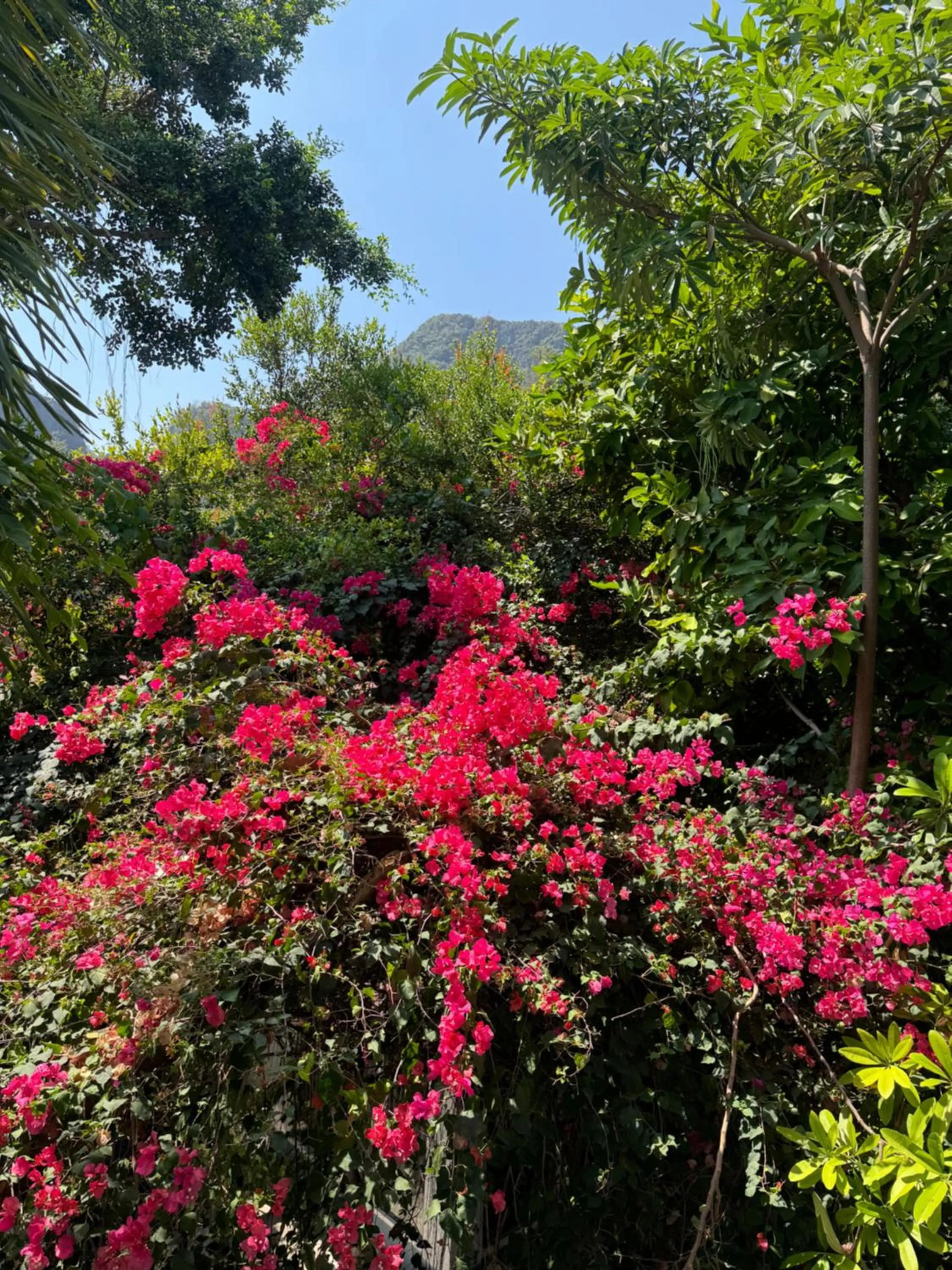 Phi Phi Maiyada Resort