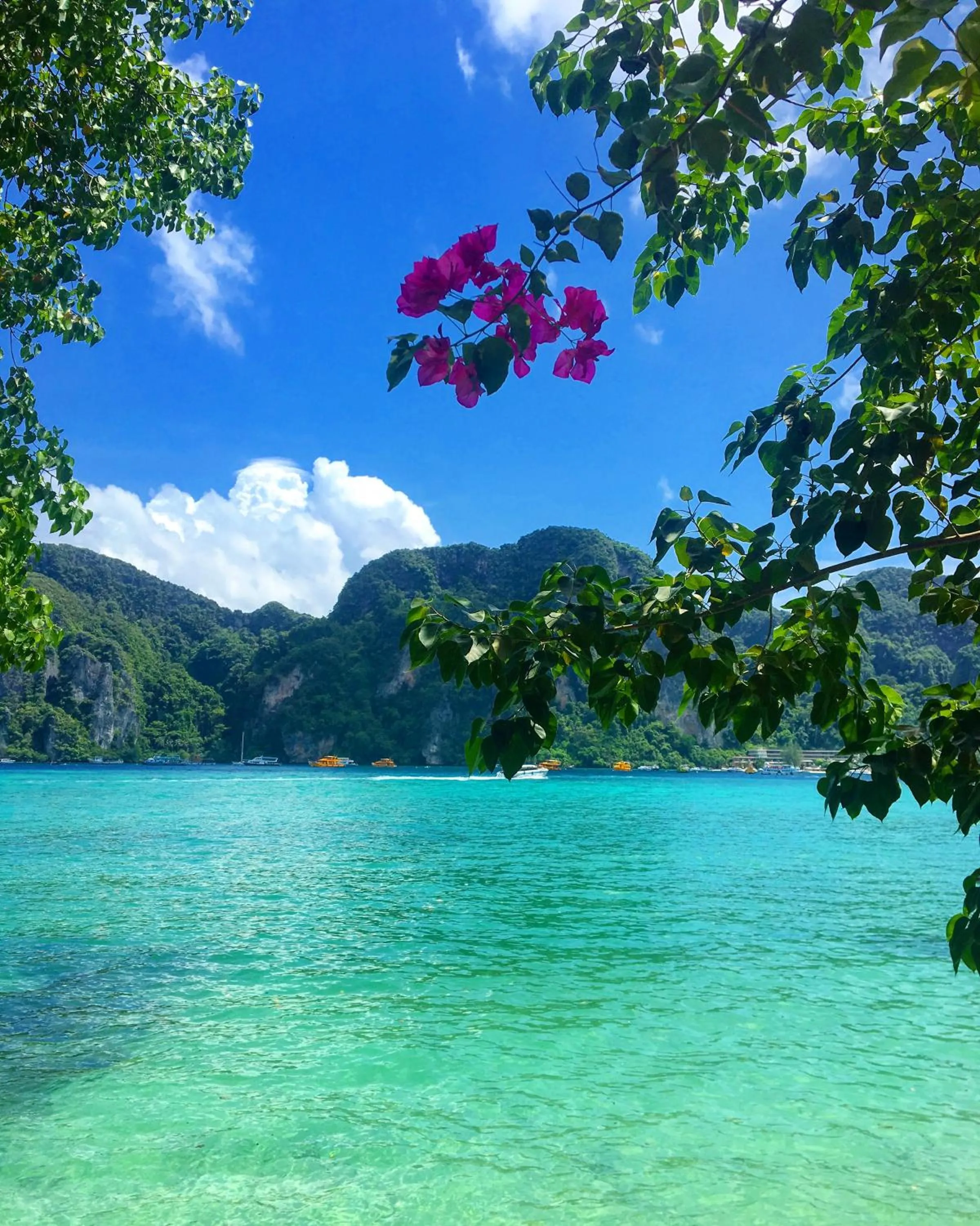 Beach in Phi Phi Maiyada Resort