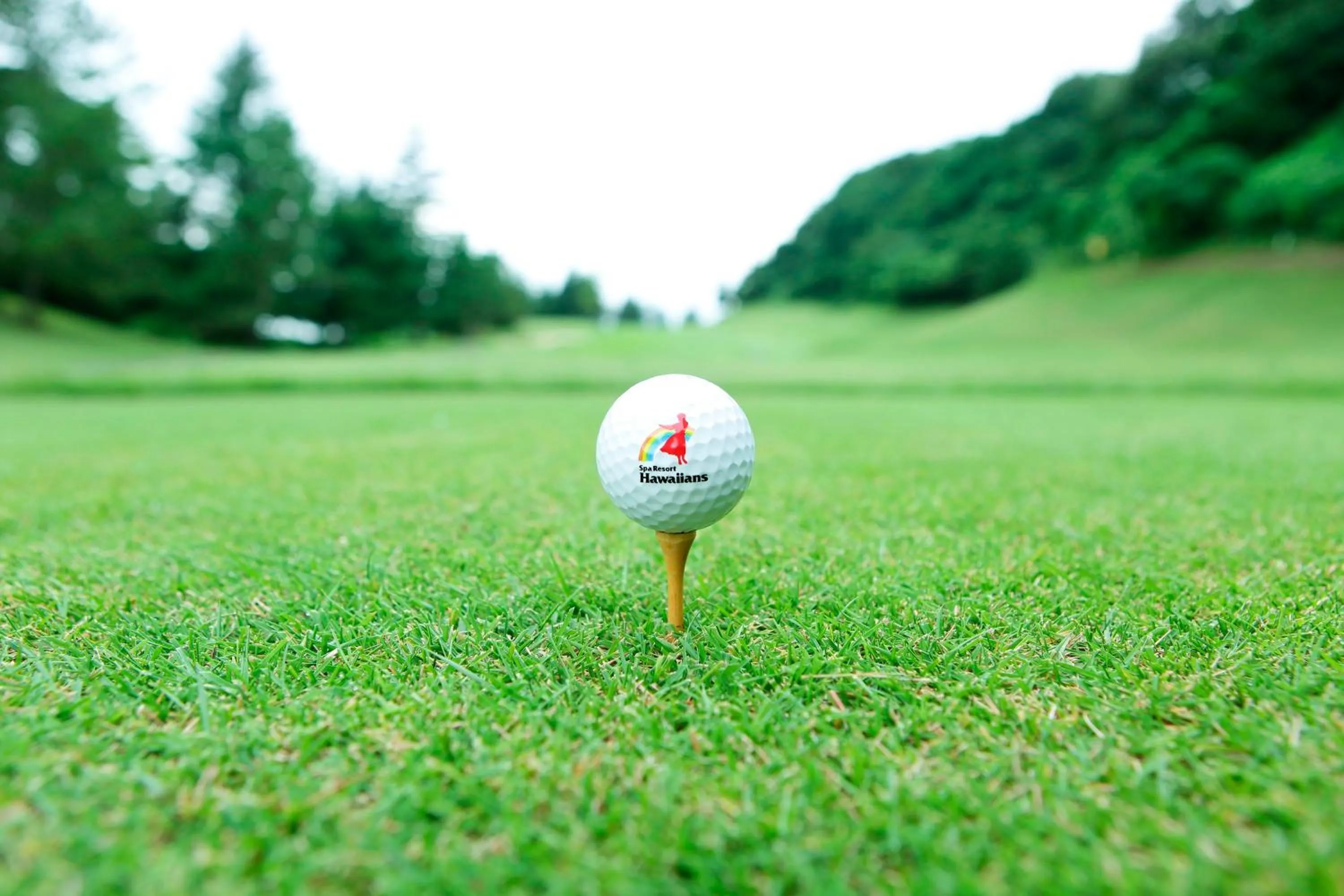 Golfcourse in Spa Resort Hawaiians VIR Port