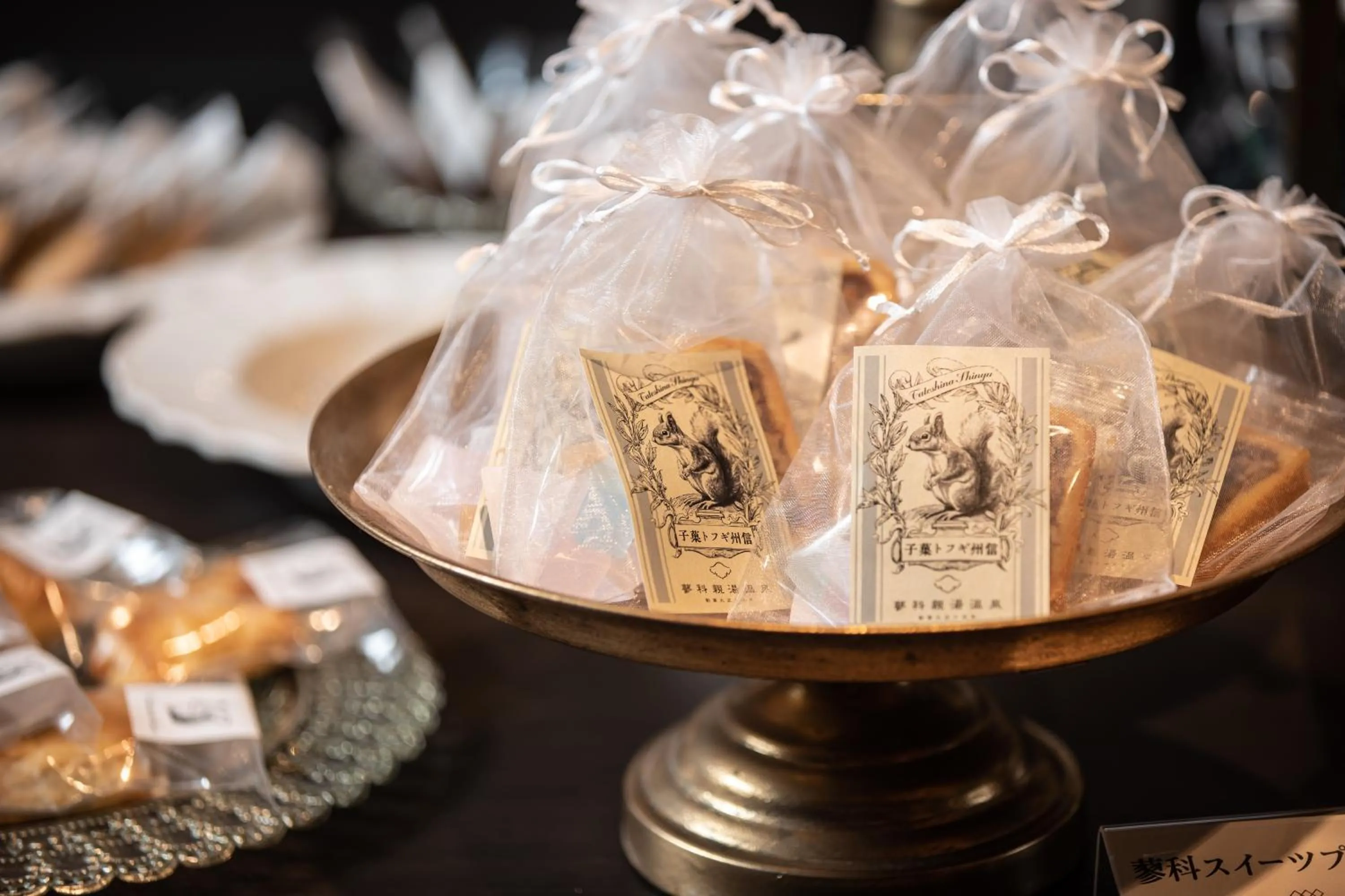 Shopping Area in Tateshina Shinyu Onsen