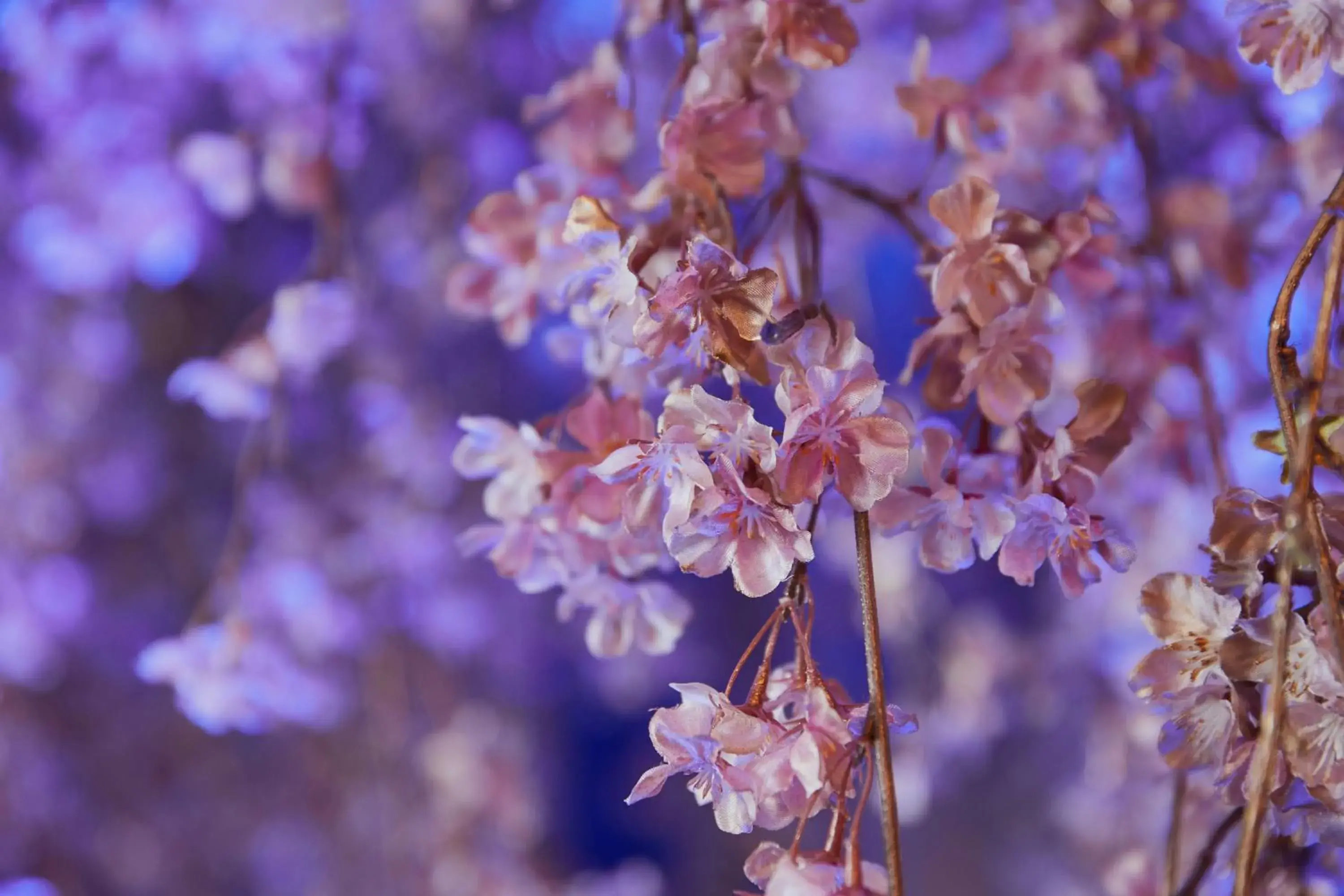 Lobby or reception in Kamisuwa Onsen Shinyu Lobby or reception in Kamisuwa Onsen Shinyu