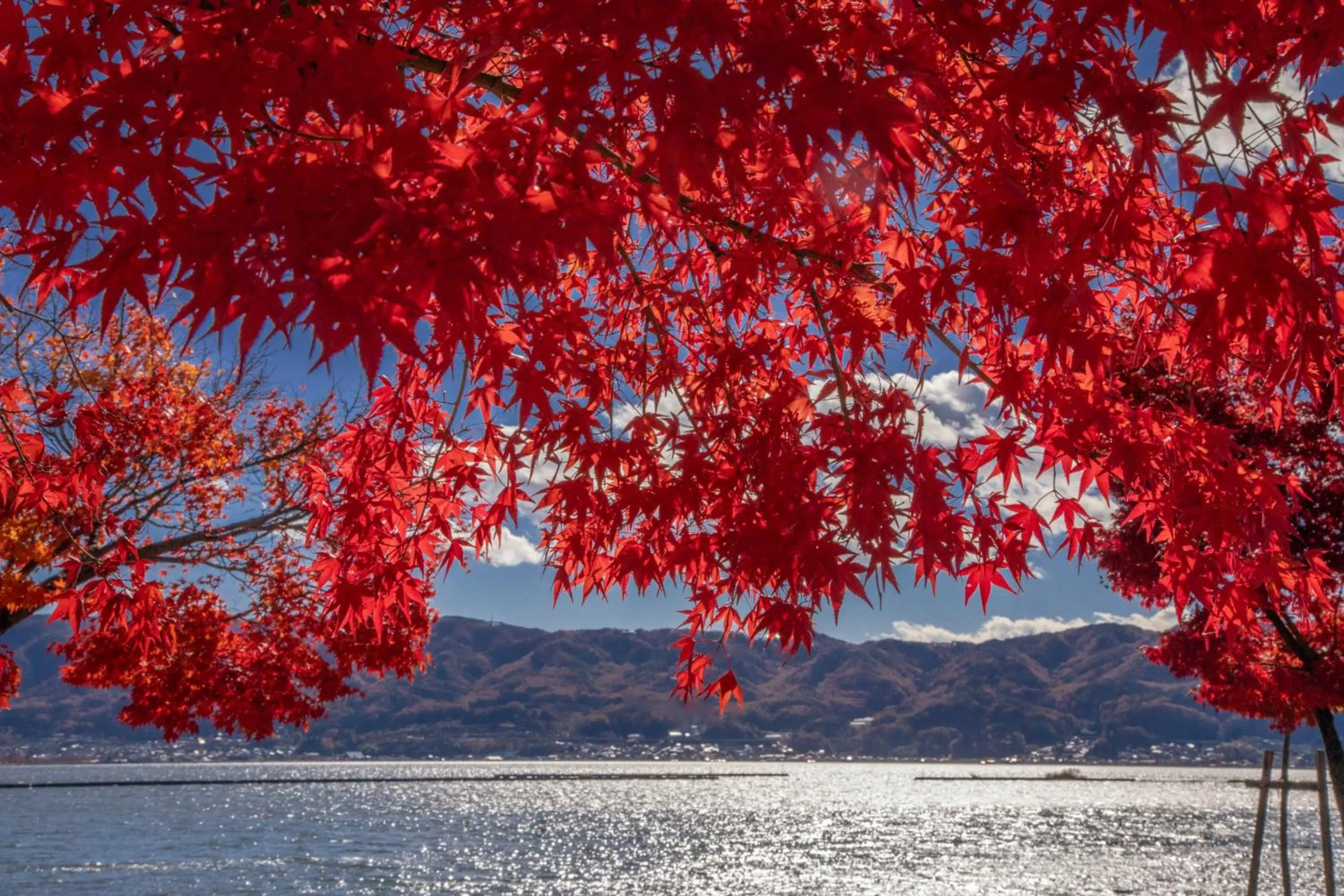 Nearby landmark in Kamisuwa Onsen Shinyu