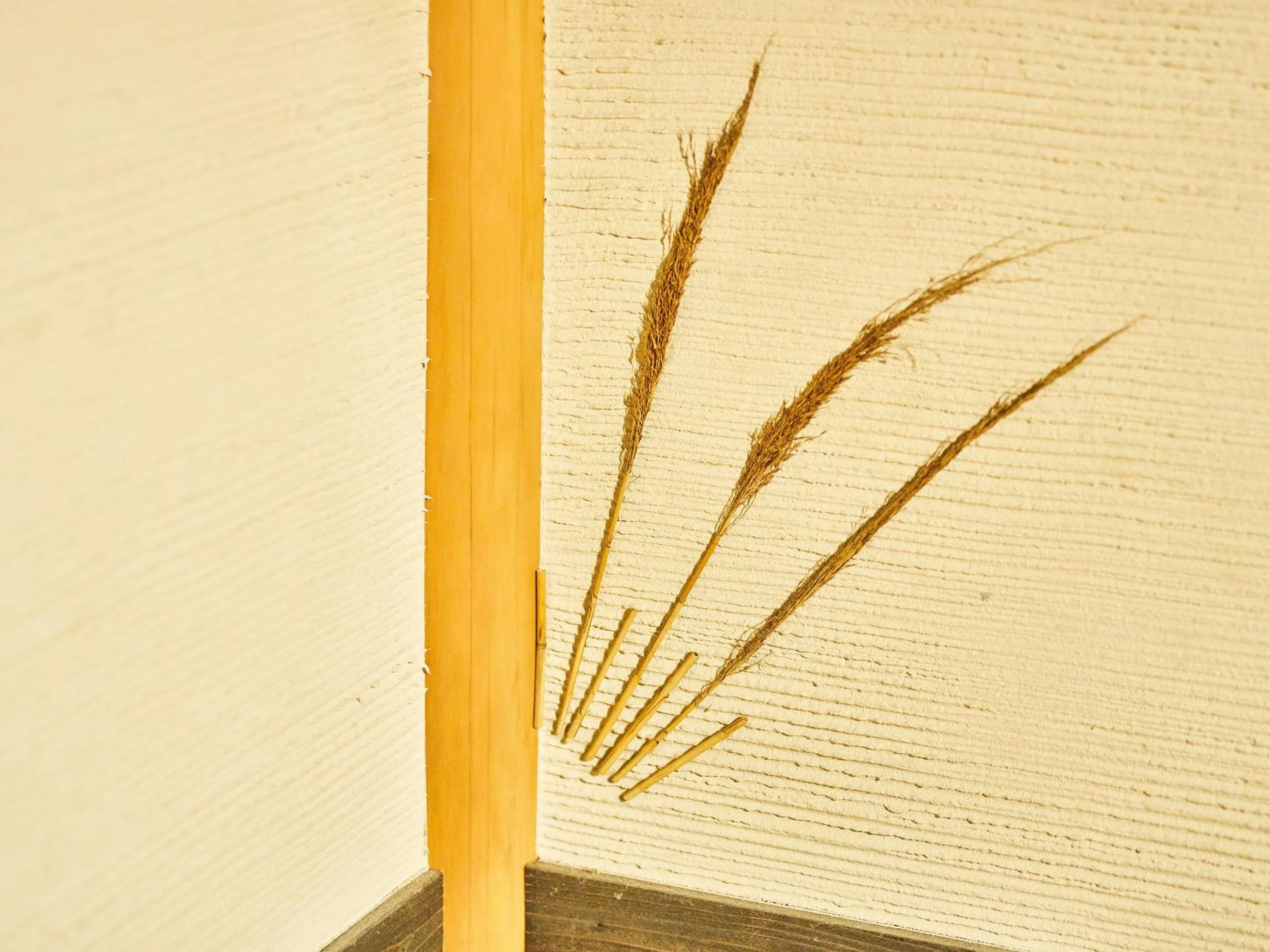 Photo of the whole room in Koiya