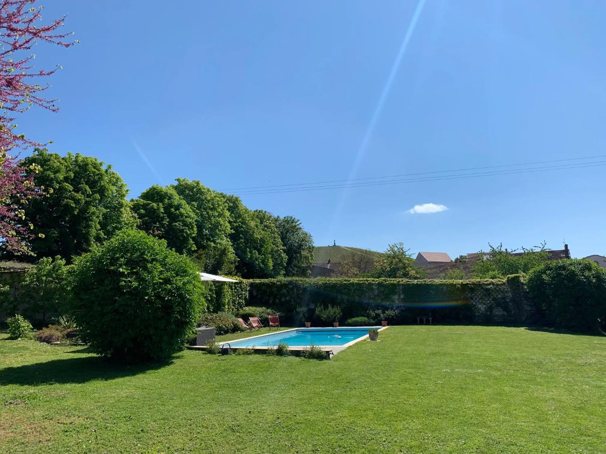 Garden in Le Clos Corbier - Champagne Collard-Milesi