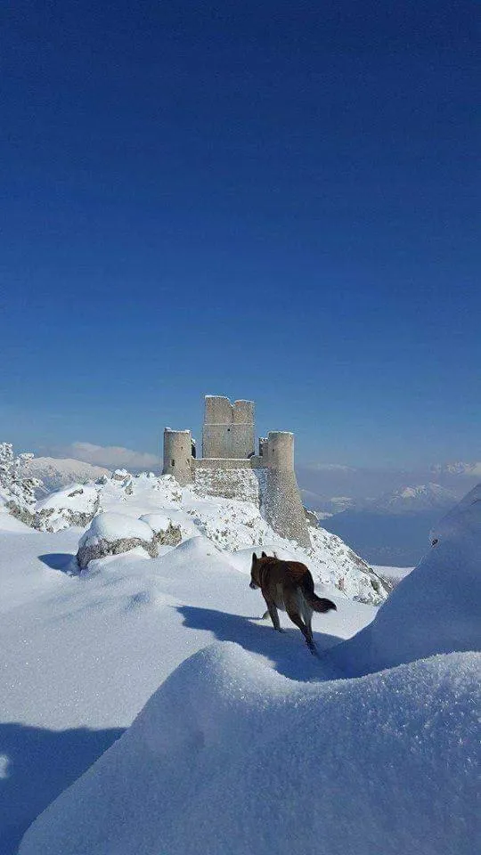 Winter in Aquila Antica
