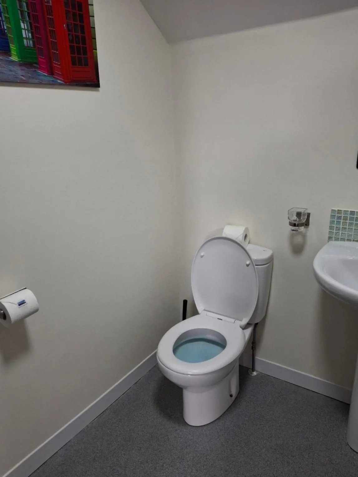 Toilet in Ulster Cottages 4 miles From Portrush Bushmills Coleraine and Ballymoney