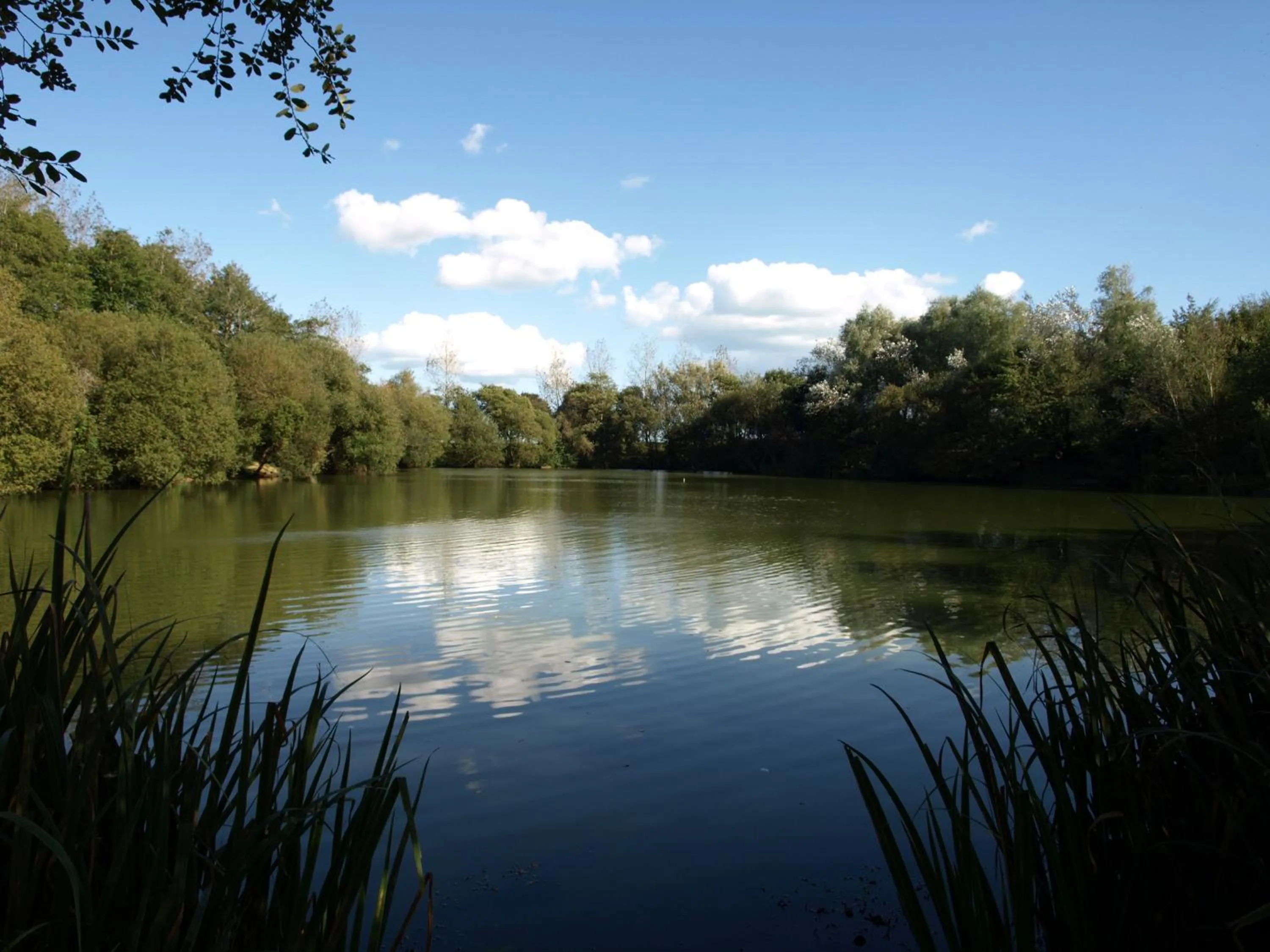 Natural landscape in The Lakes Rookley Holiday Park