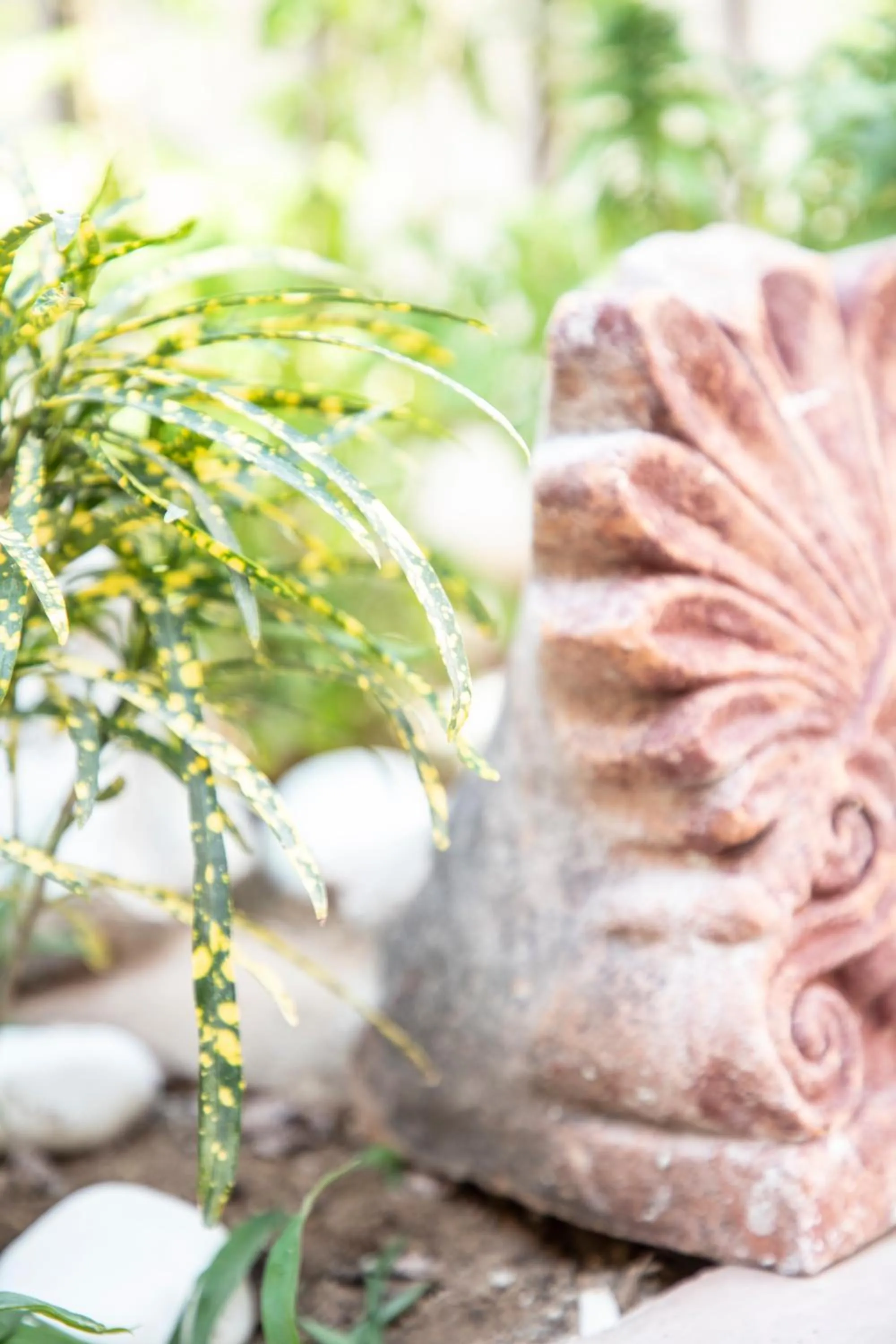 Property building in Monsieur Didot