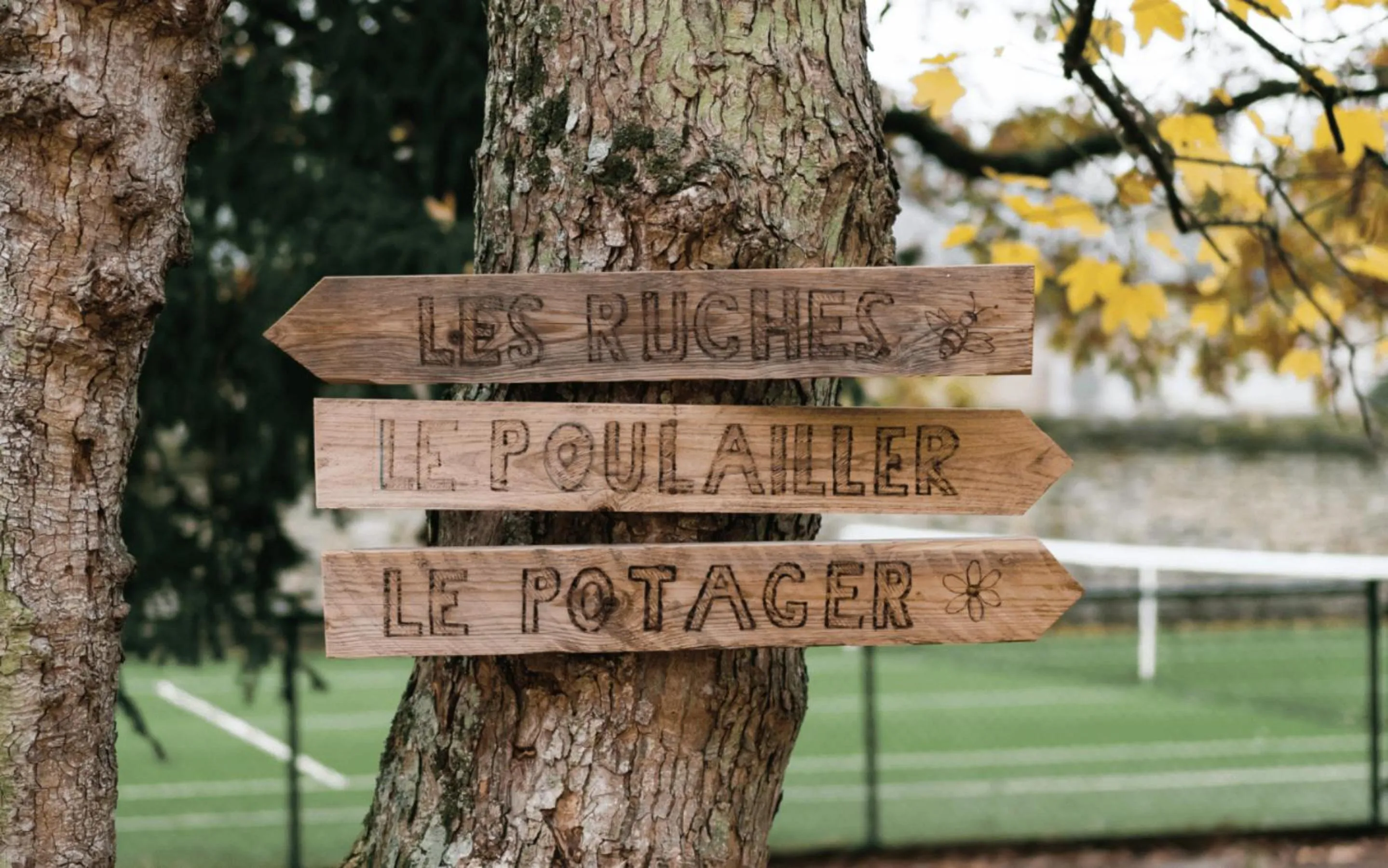 Garden in Hotel Demeures de Campagne Château de Fontainebleau