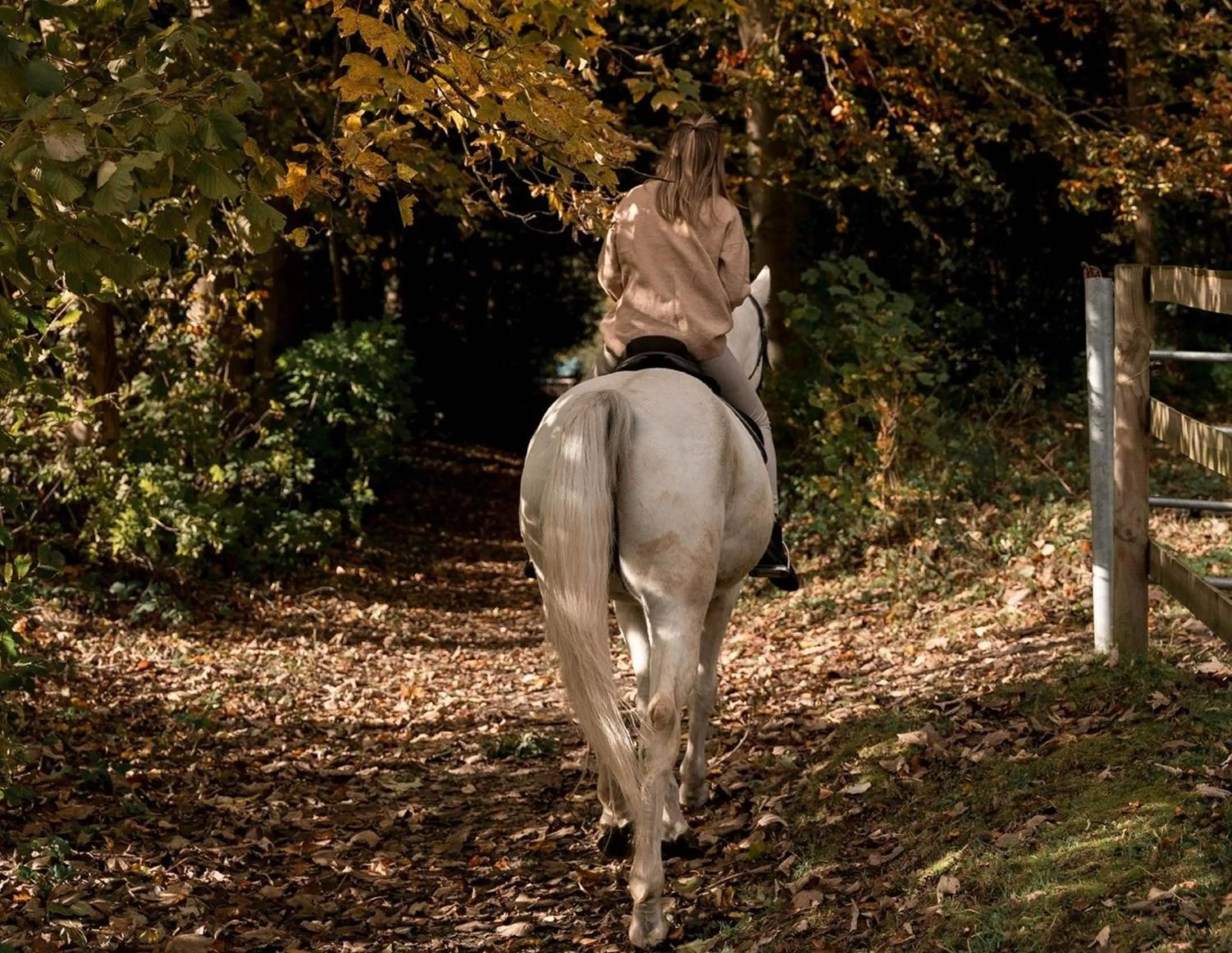 Day, Other Animals in Demeures de Campagne Domaine de Maffliers