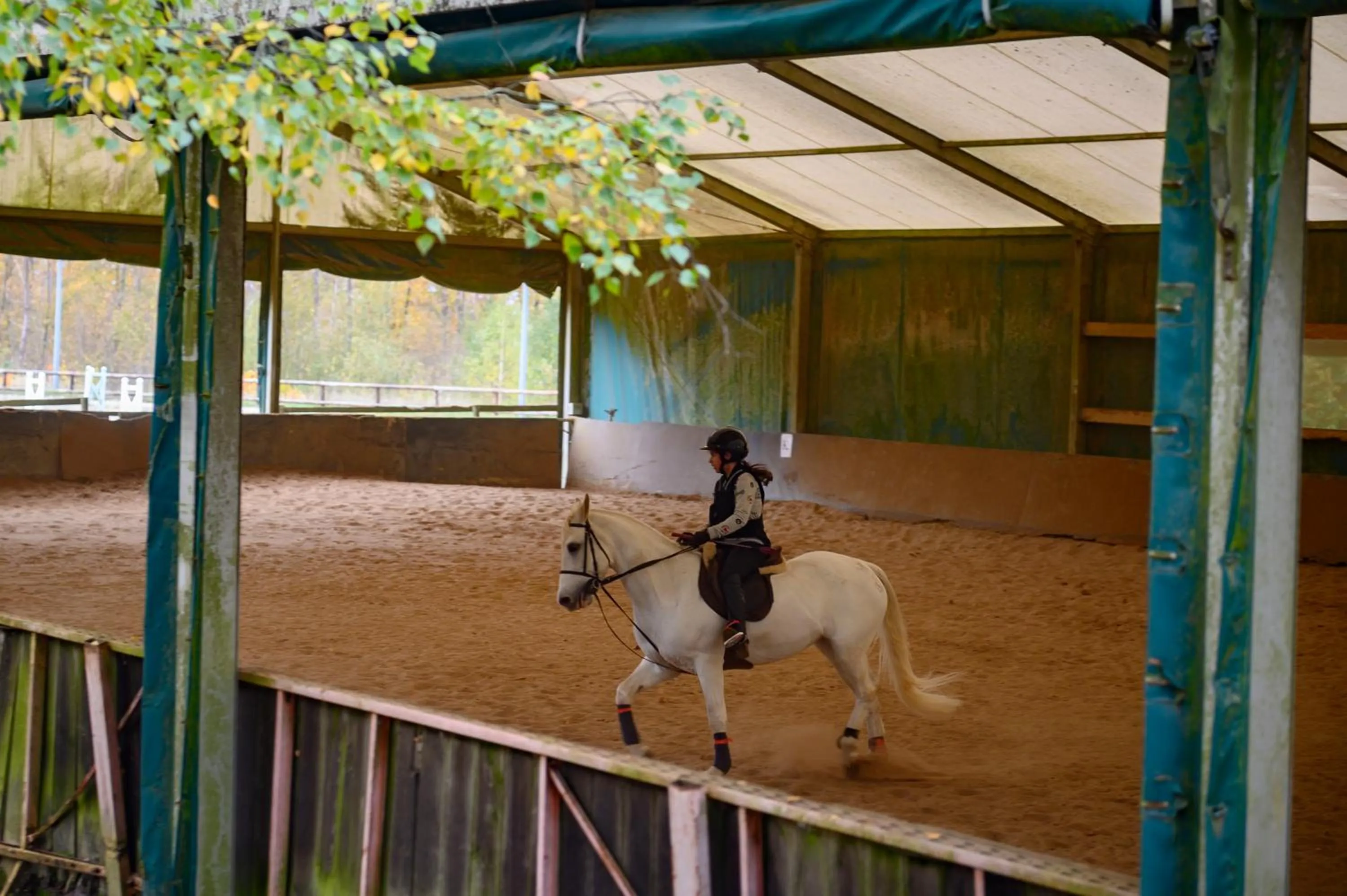 Activities, Horseback Riding in Demeures de Campagne Domaine de Maffliers
