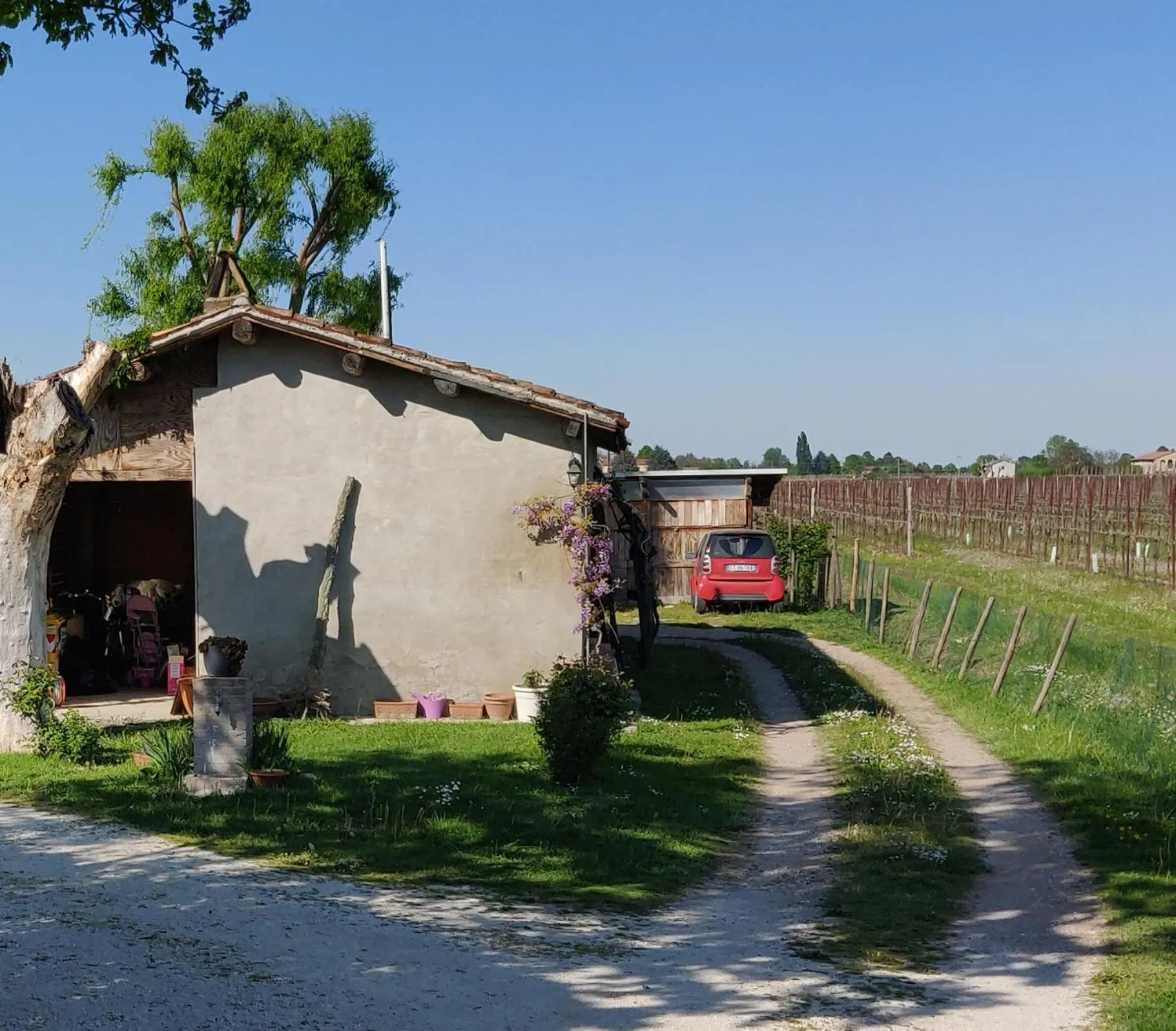 Facade/entrance in B&B Il Glicine Nascosto