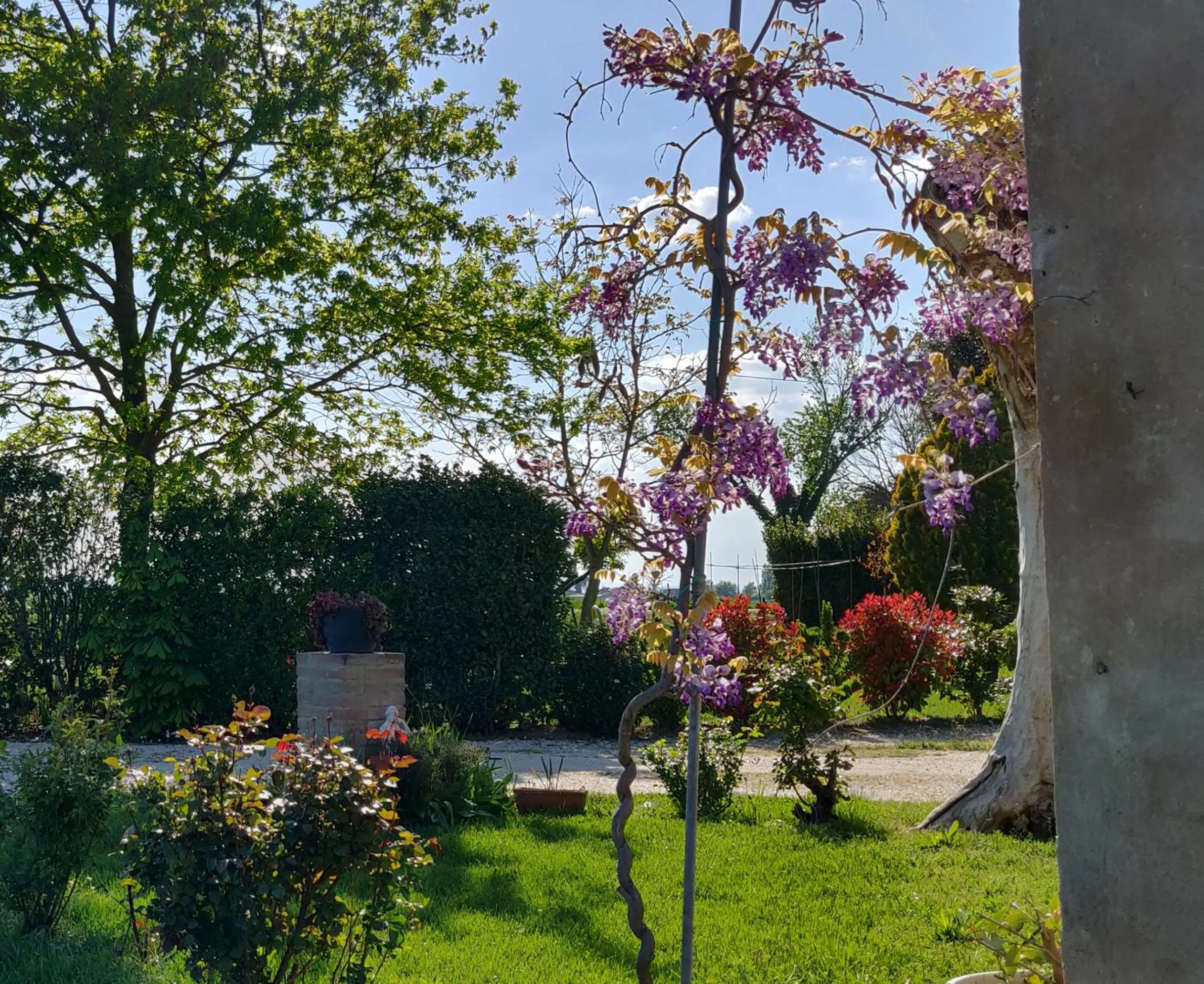 Facade/entrance in B&B Il Glicine Nascosto