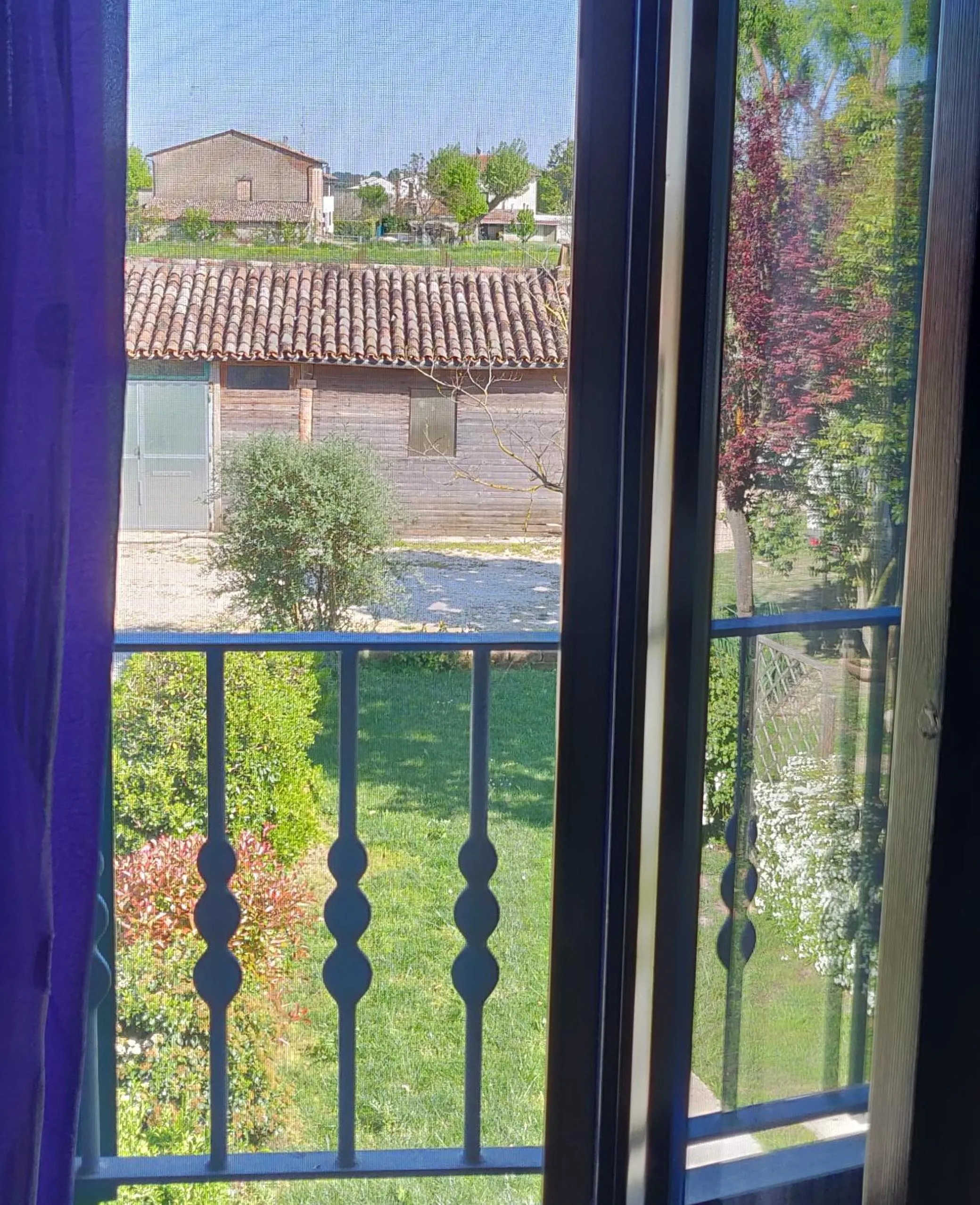Garden view in B&B Il Glicine Nascosto