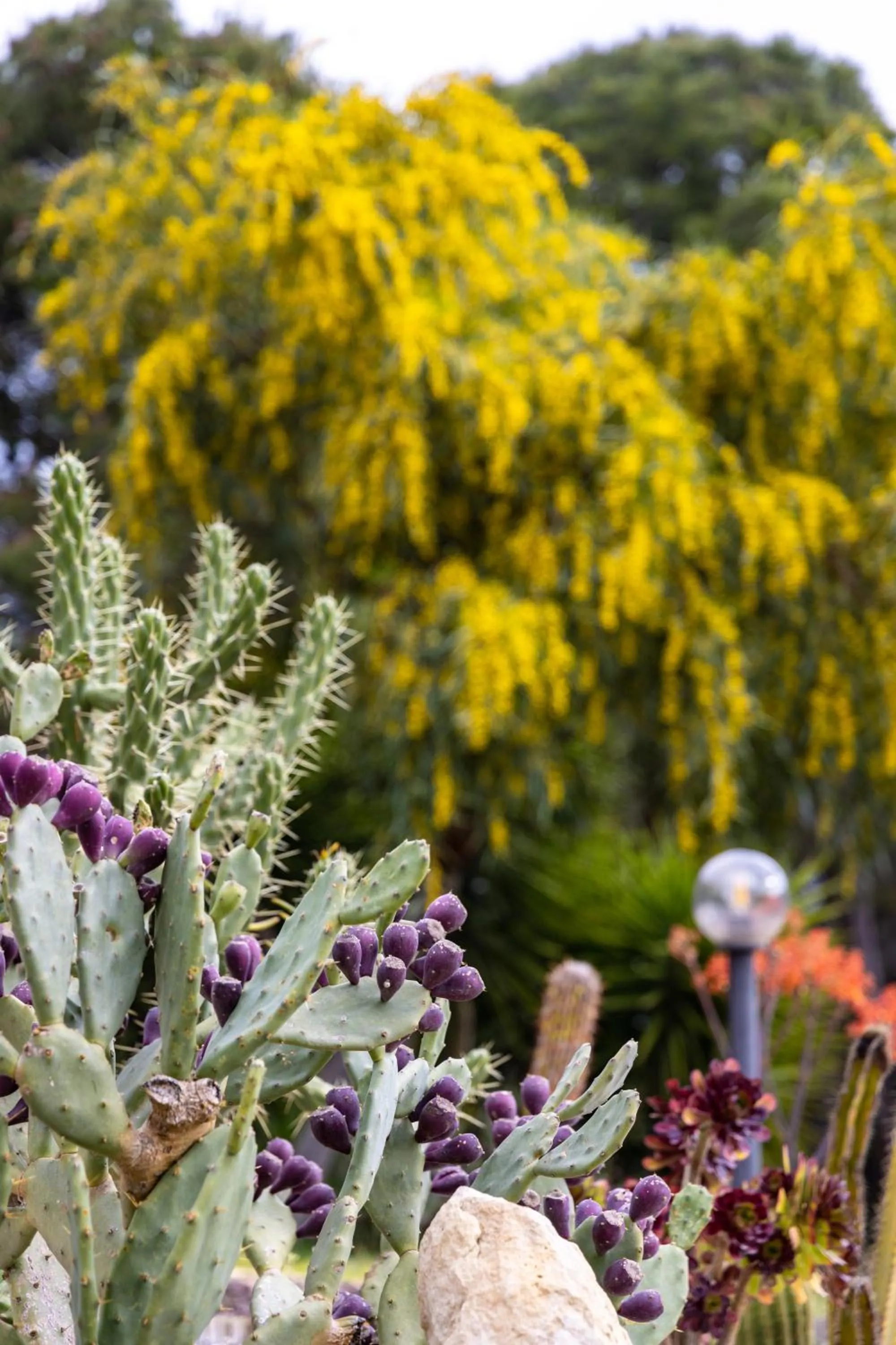 Spring in Antica Villa Colonica