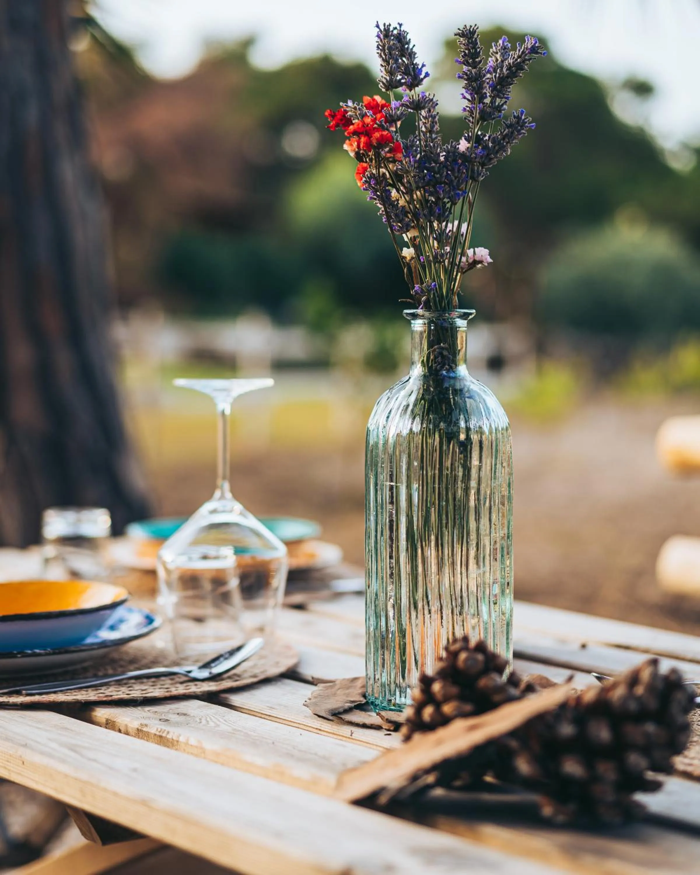 Restaurant/places to eat in Antica Villa Colonica