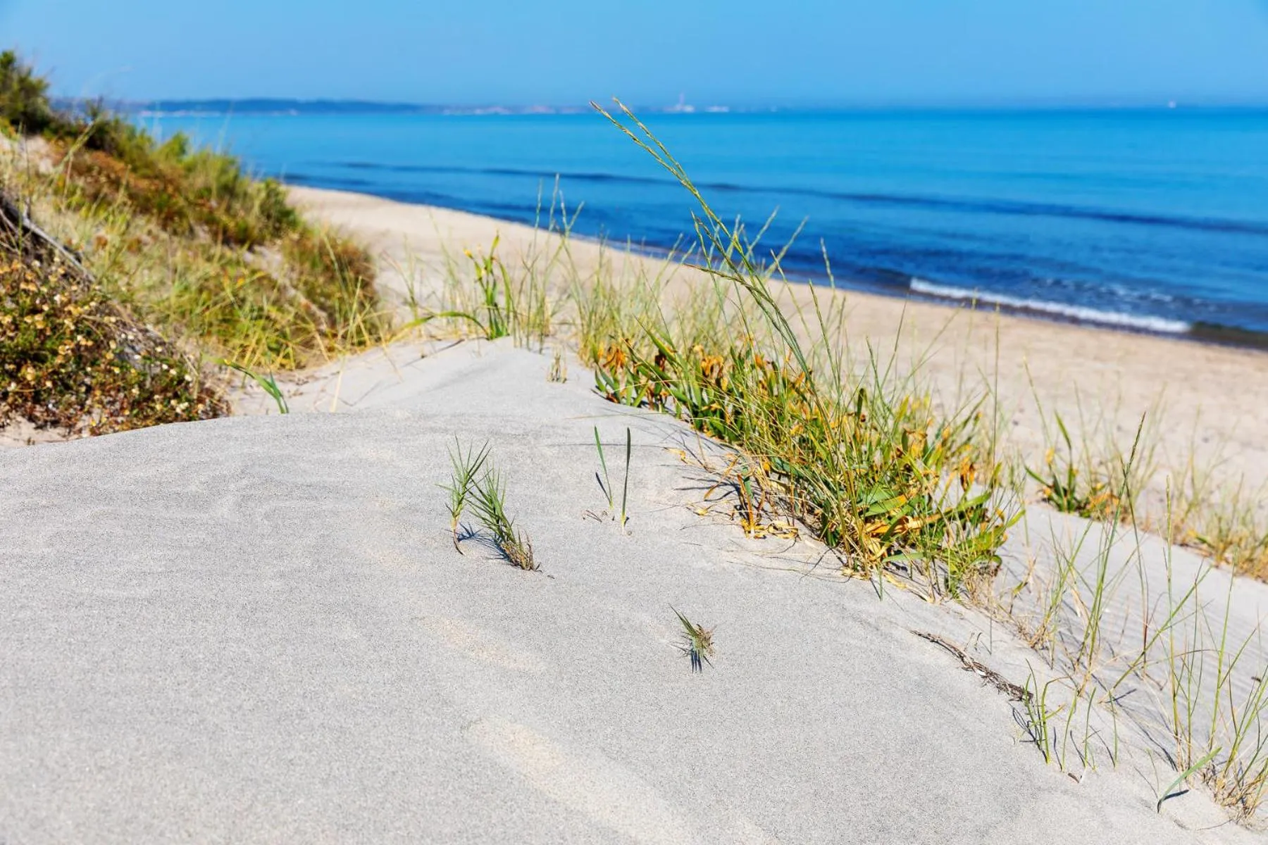 Off site in Antica Villa Colonica