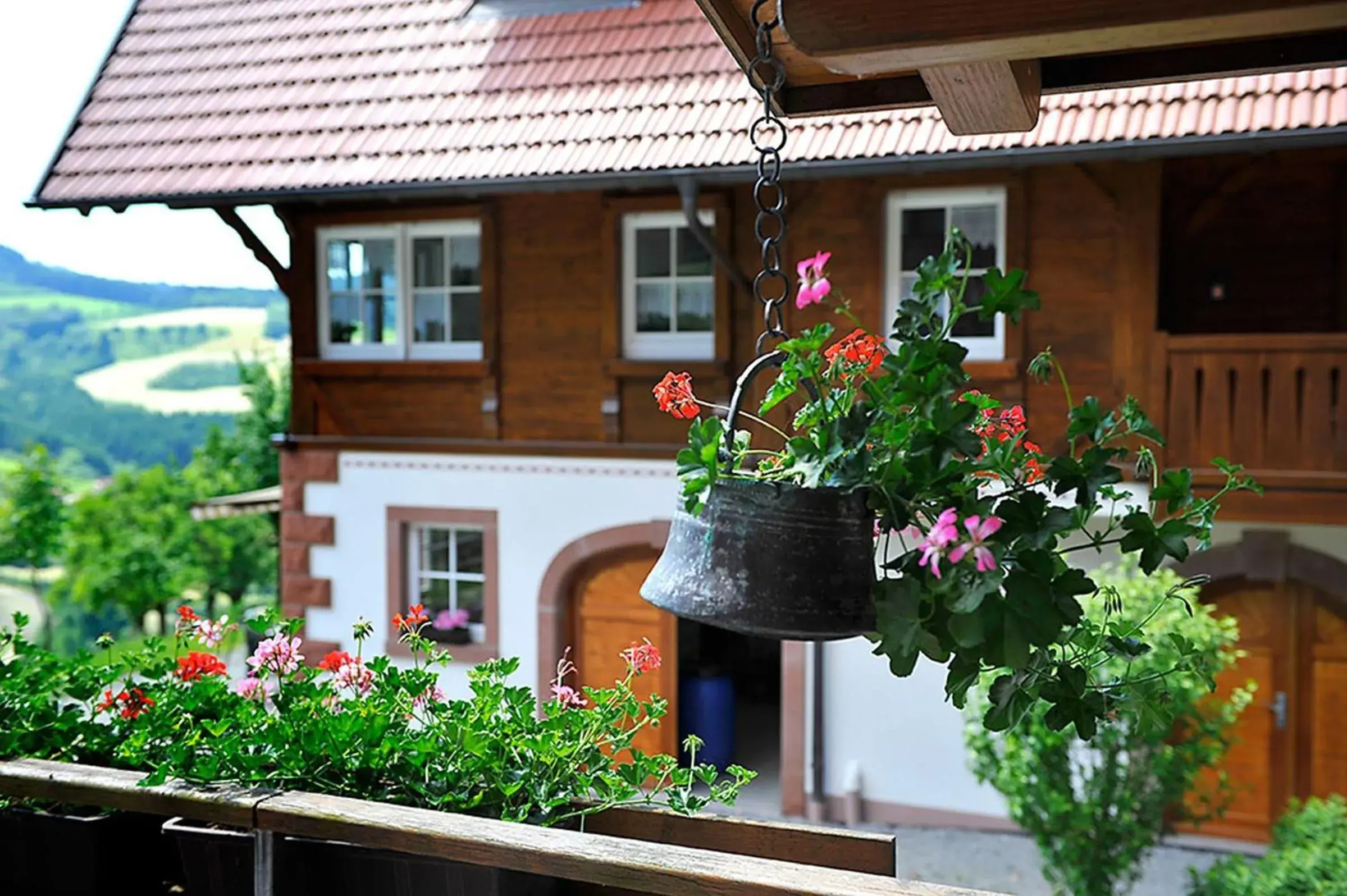 Riehle Hof Riehle Hof