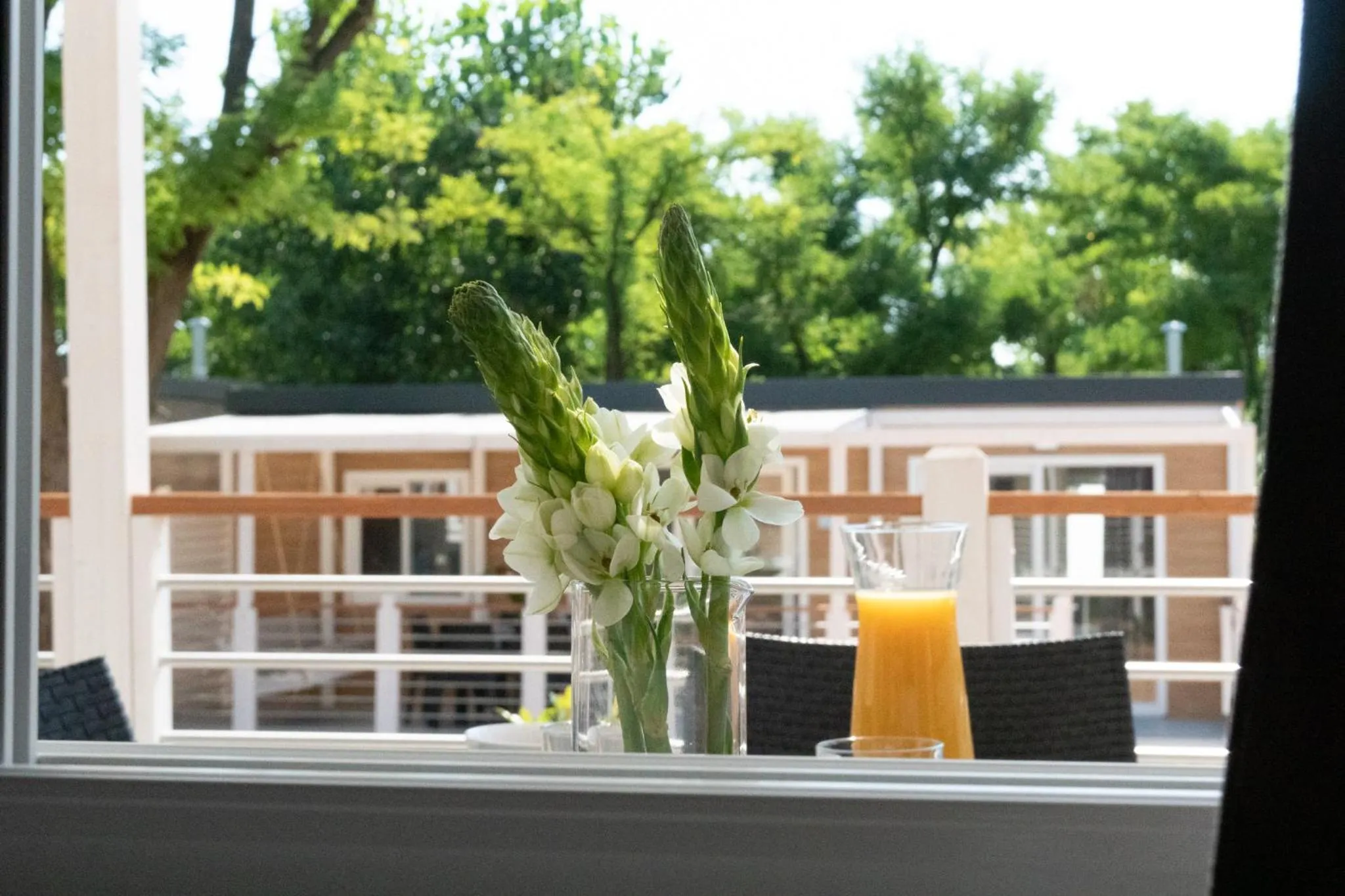 Balcony/Terrace in Campeggio Europa Silvella