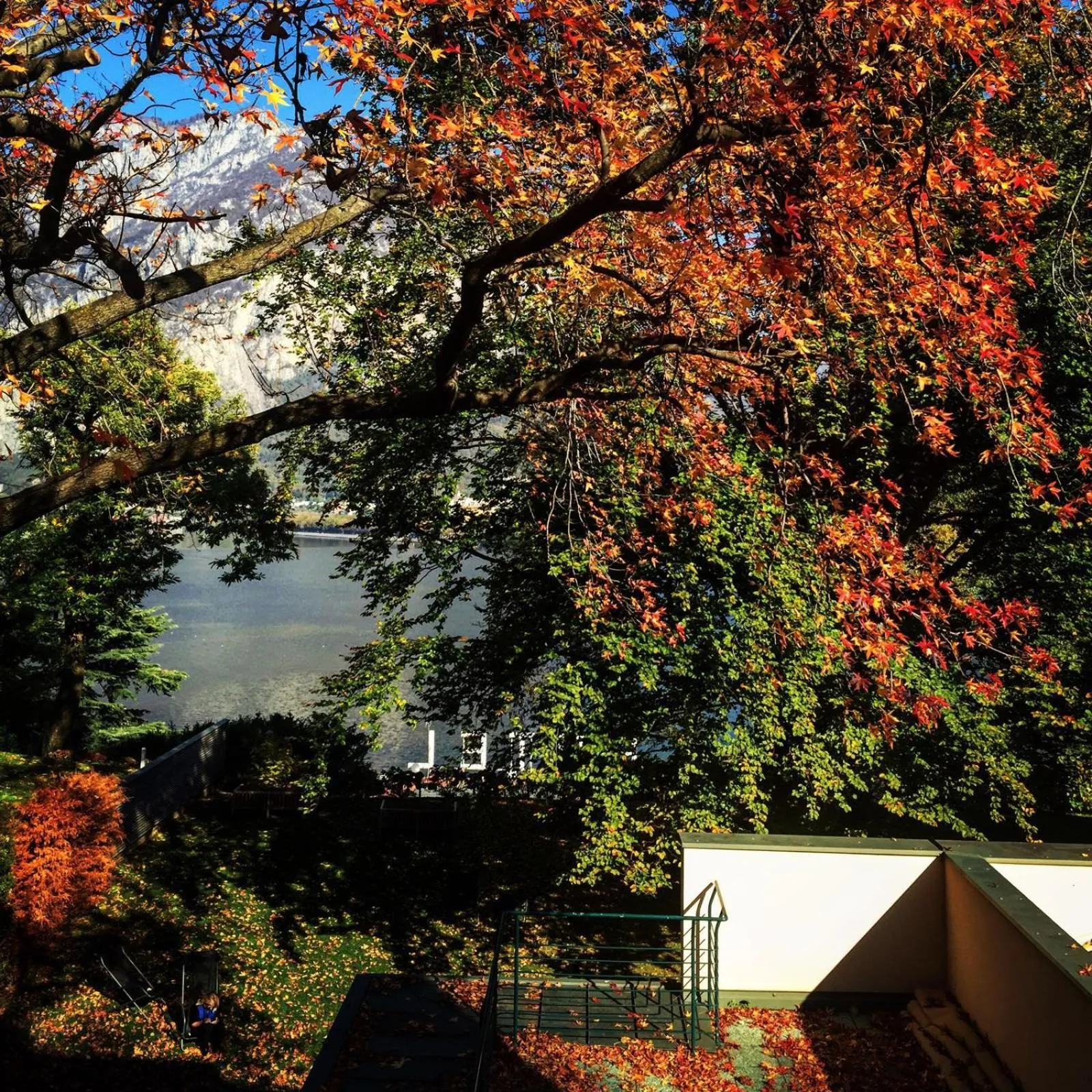 Natural landscape in Casa Sull'Albero