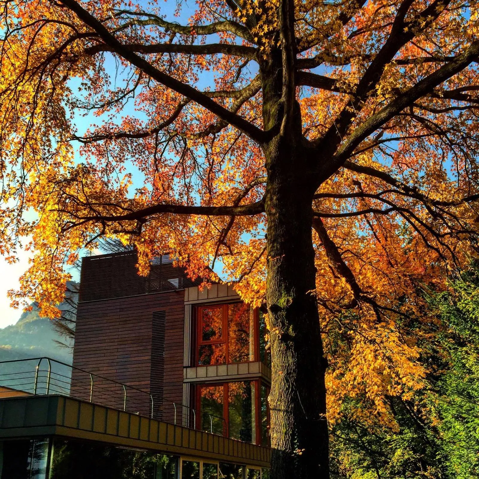 Day in Casa Sull'Albero