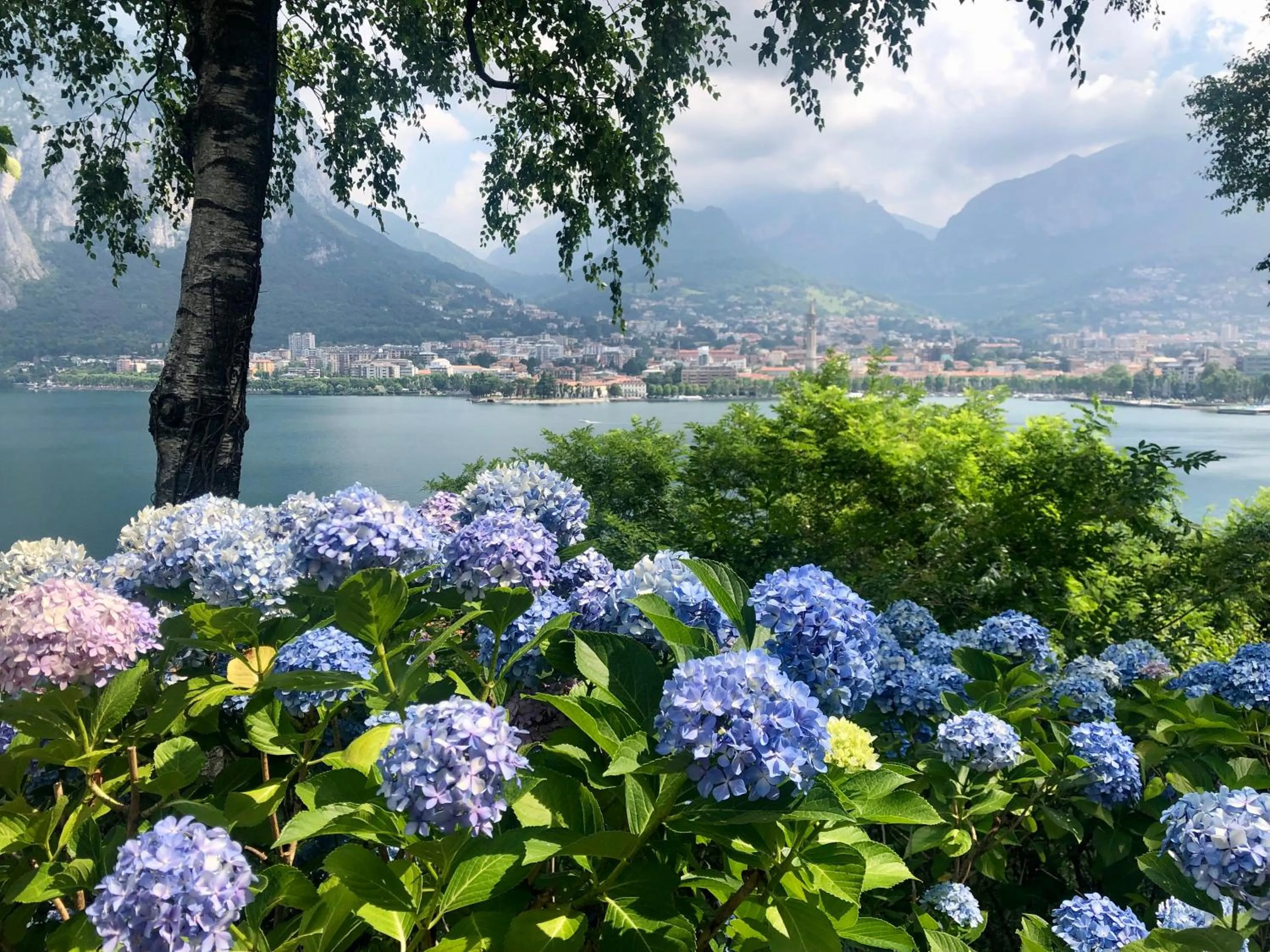 Nearby landmark in Casa Sull'Albero
