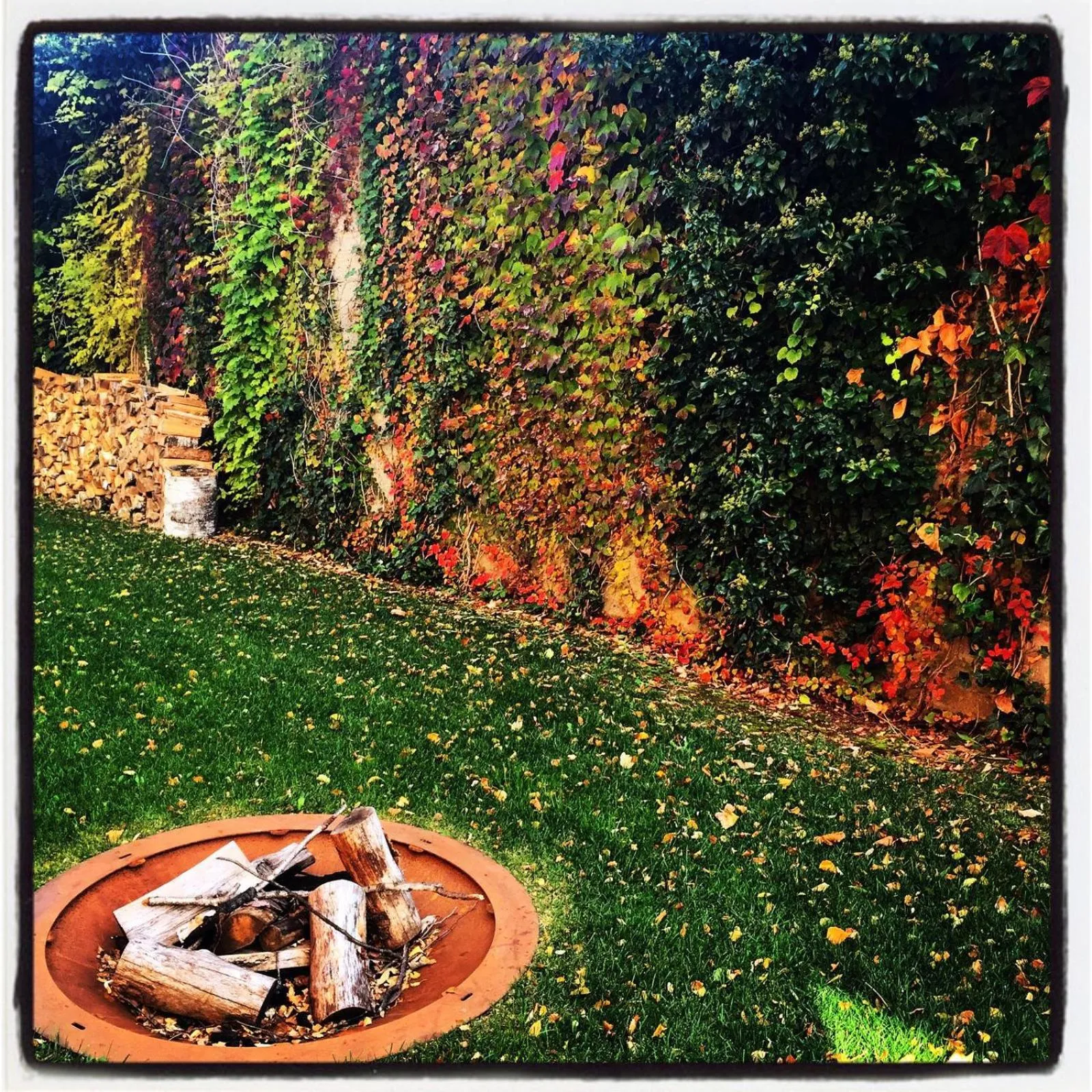 Day in Casa Sull'Albero