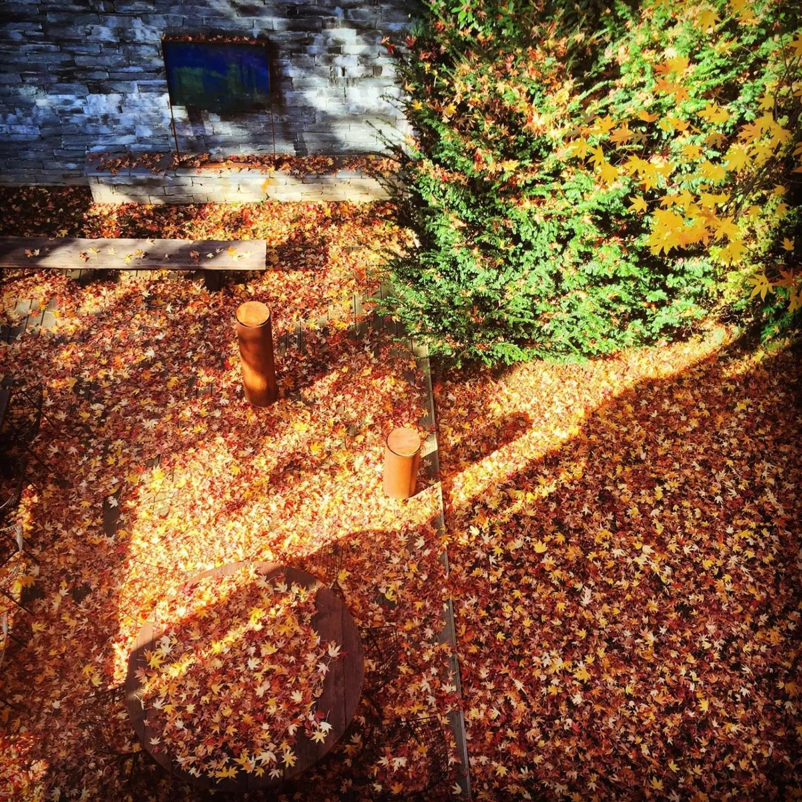 Patio in Casa Sull'Albero