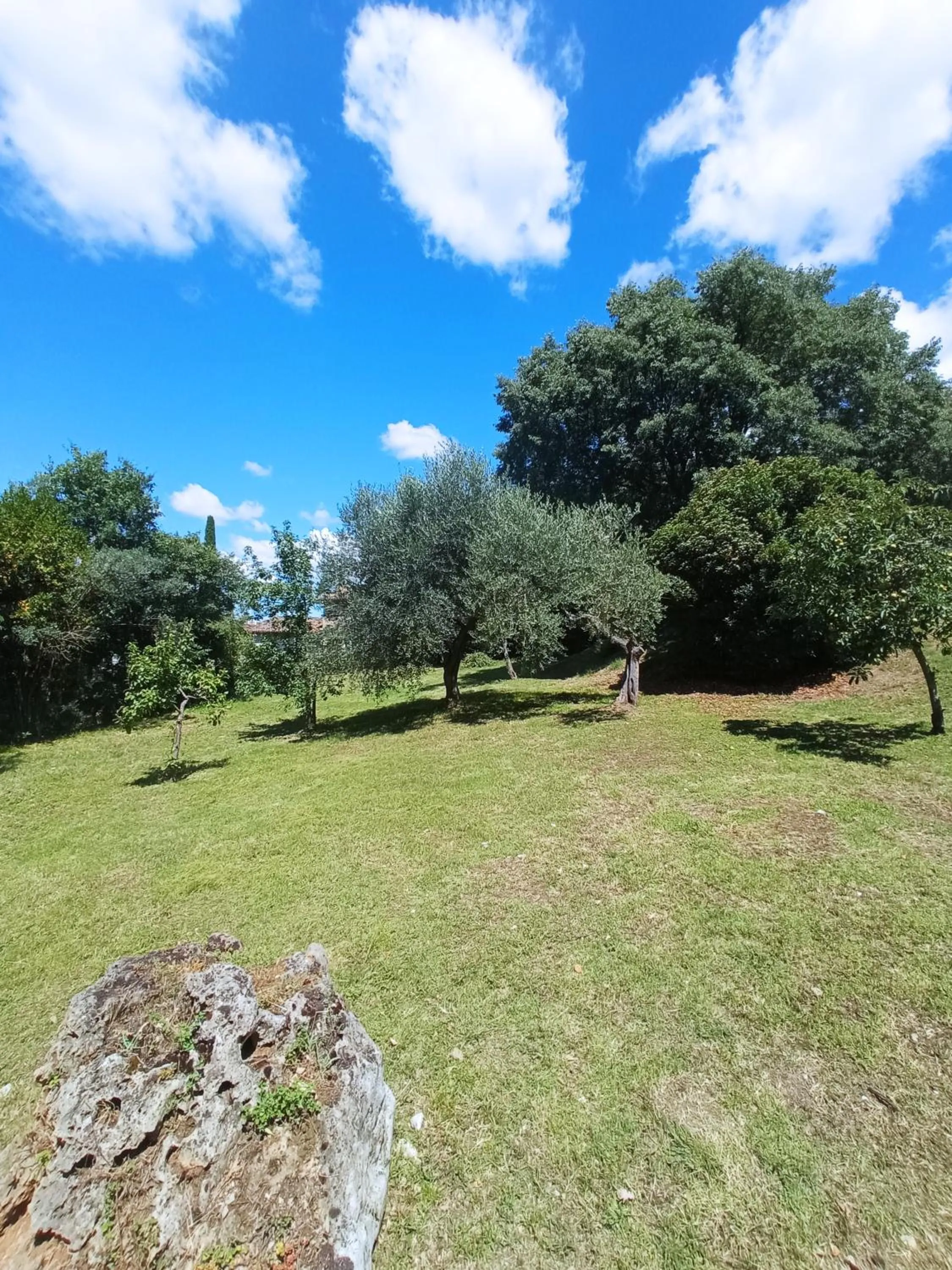 Garden in All'Ombra di San Damiano