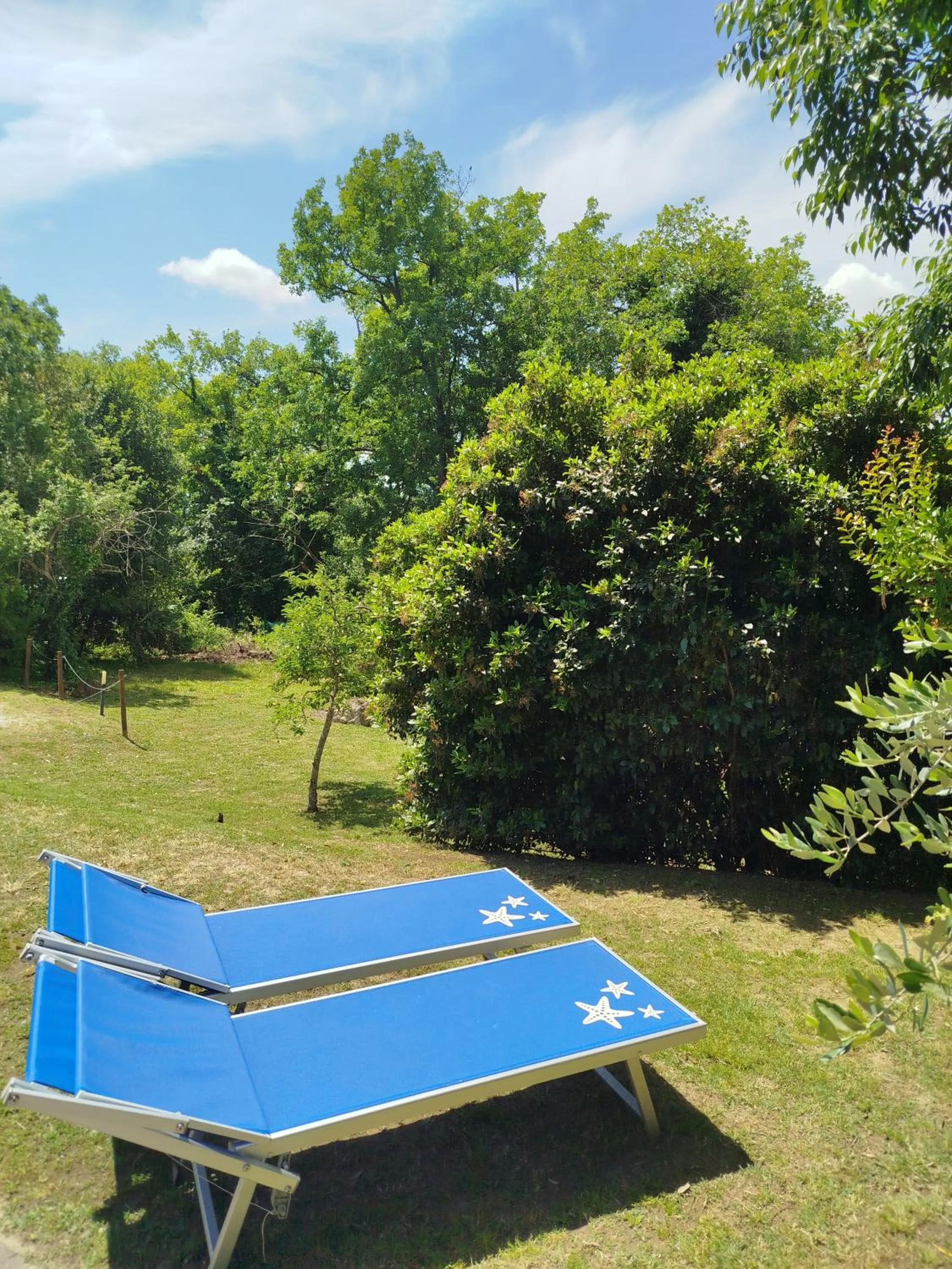 Garden in All'Ombra di San Damiano