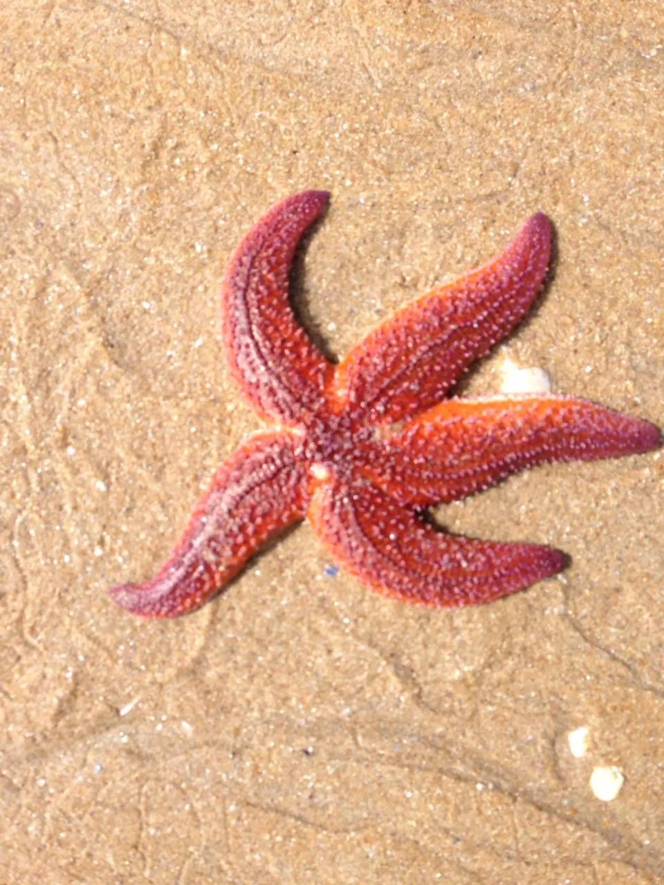 Property logo or sign in Cit'Hotel Atlantis