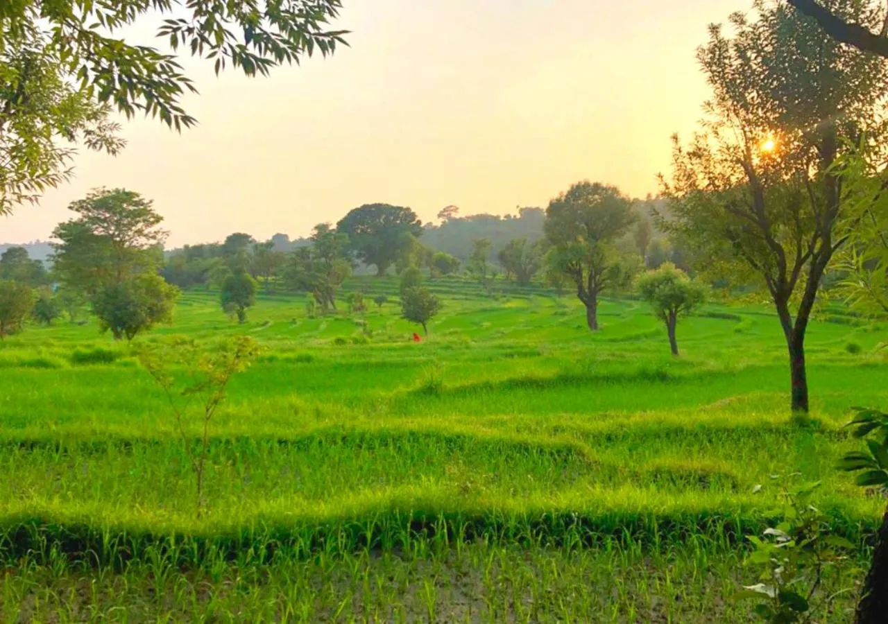 View (from property/room) in Dev Bhoomi Farms & Cottages